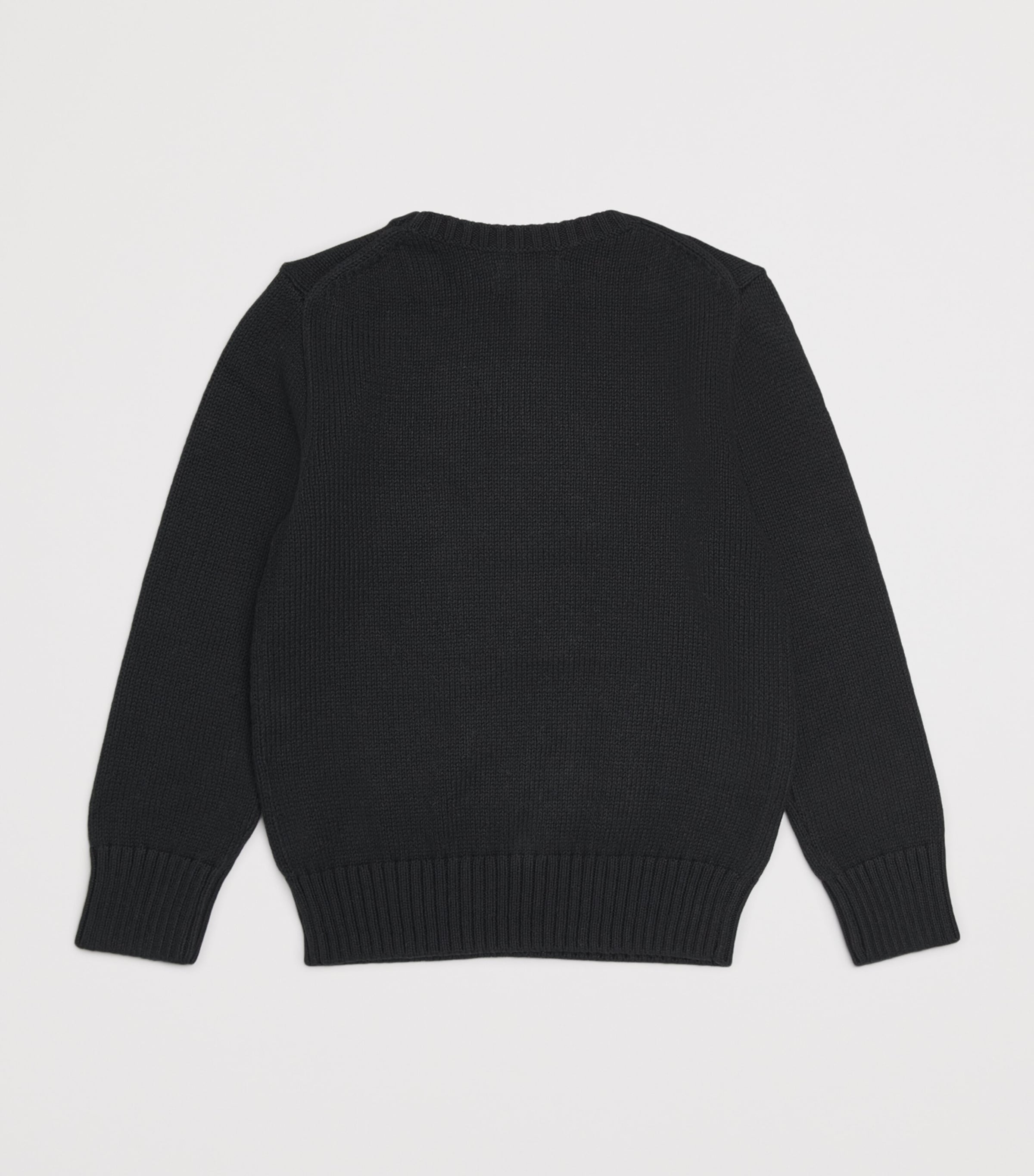 Cotton Sledge Polo Bear Sweater (2-7 Years) BLACK Image 2