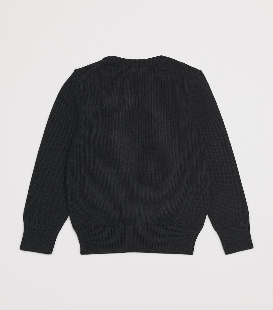 Cotton Sledge Polo Bear Sweater (6-14 Years) BLACK Image 2