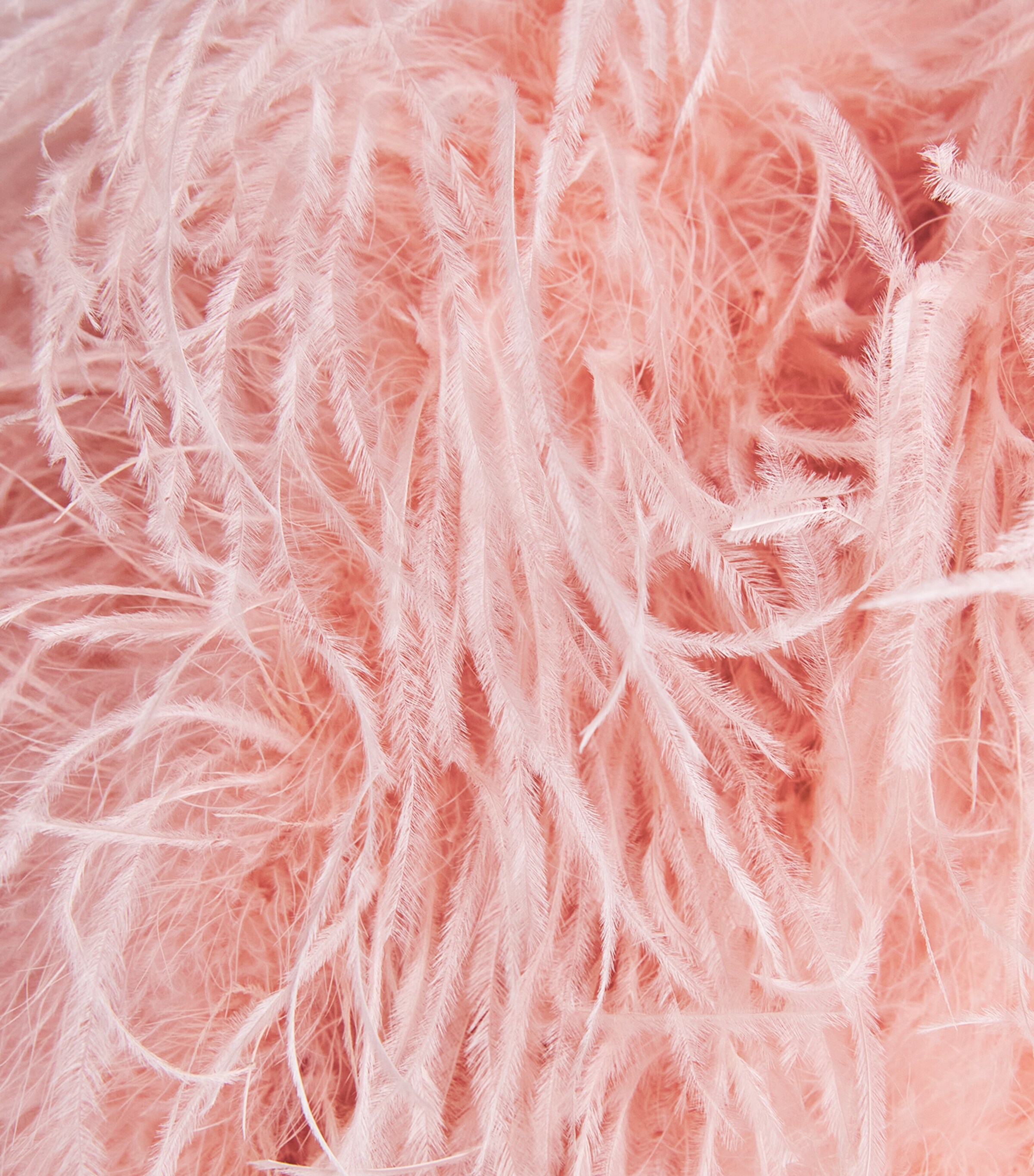 Alice+Olivia Womens Ostrich Feather Kidman Jacket En Rose Toile Image 6