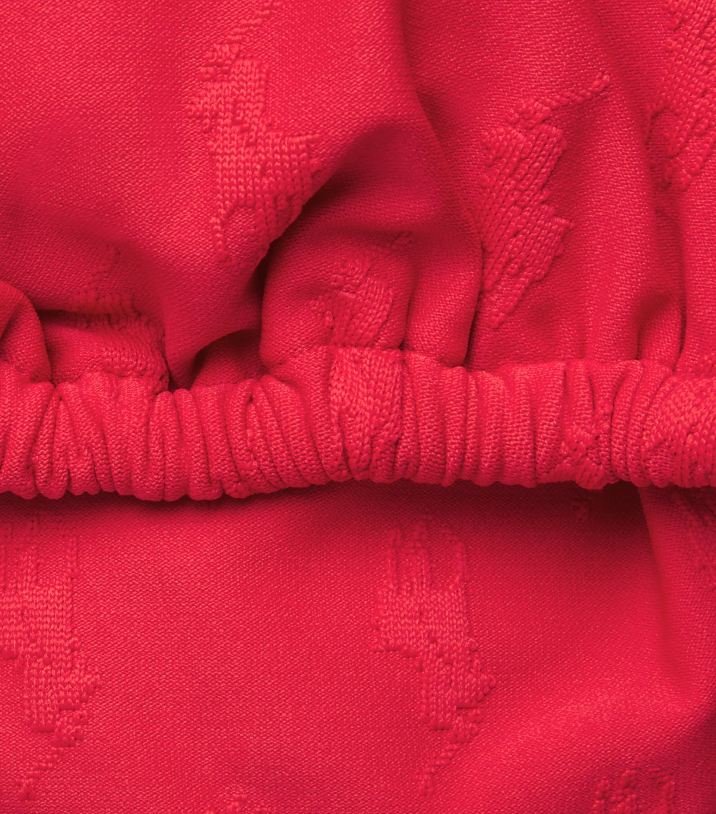 Polo Ralph Lauren Womens Jacquard Bikini Top Cruise Red Image 4