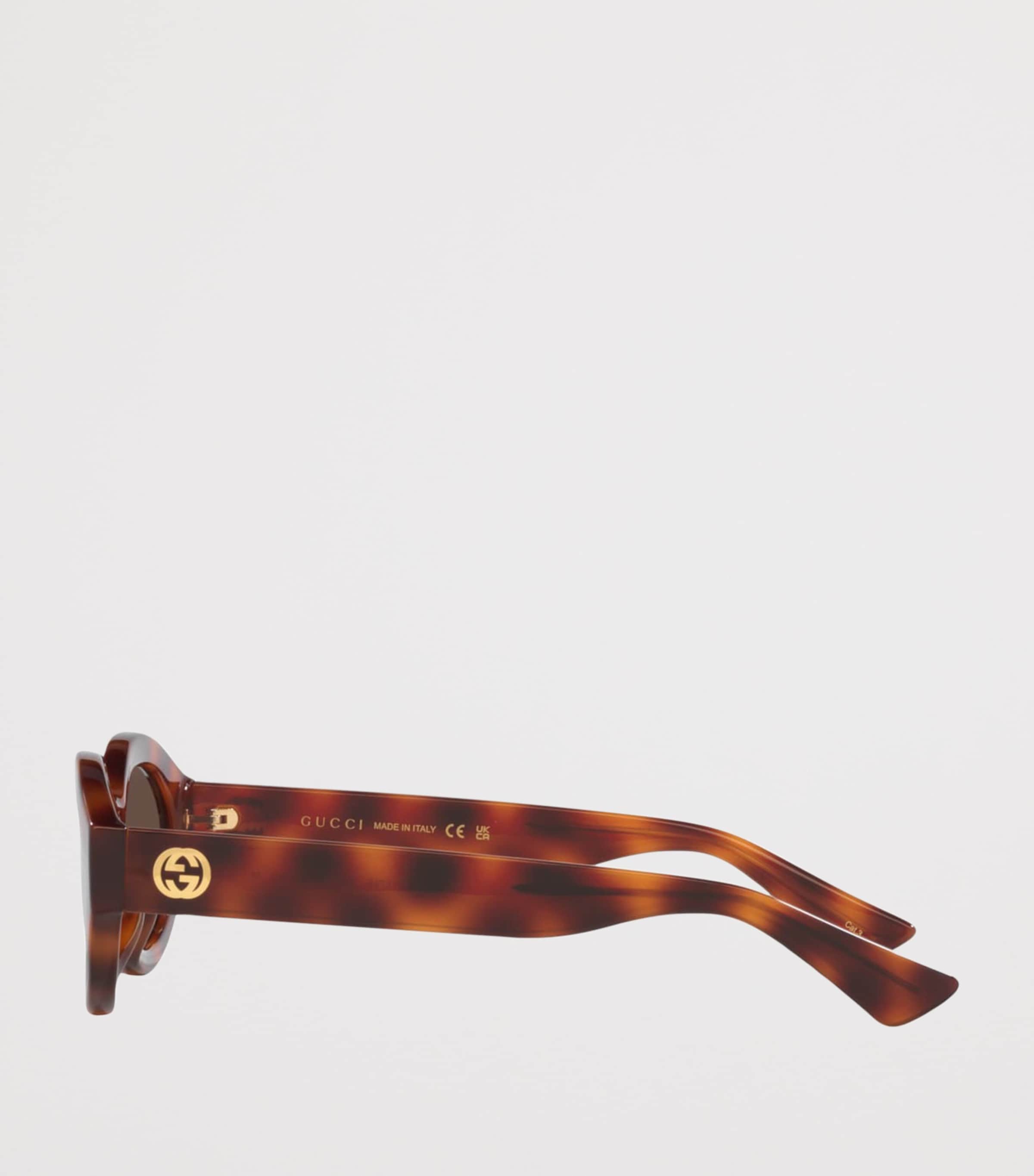 Gucci Injected Oval Sunglasses Image 2