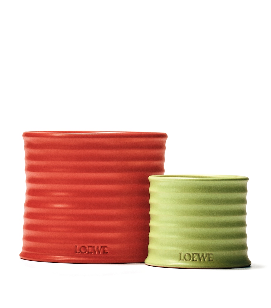 Large Tomato Leaves Scented Candle NO COLOUR Image 4