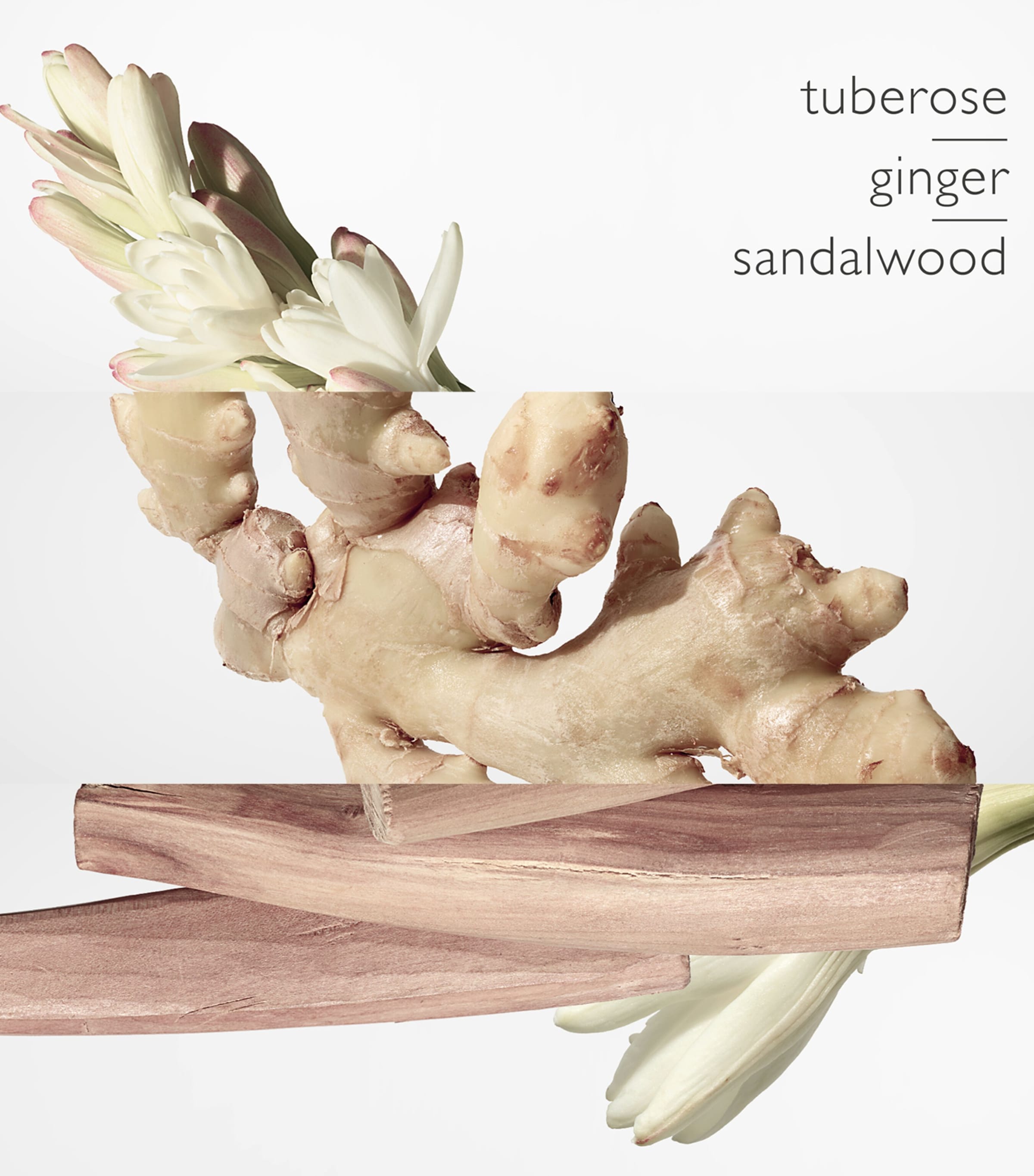 Twilly d'Hermès Eau de Parfum (50ml) NO COLOUR Image 3