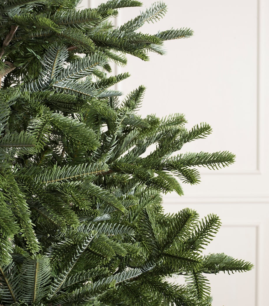 BALSAM HILL Nordmann Fir Unlit Christmas Tree (7ft) Green Image 2