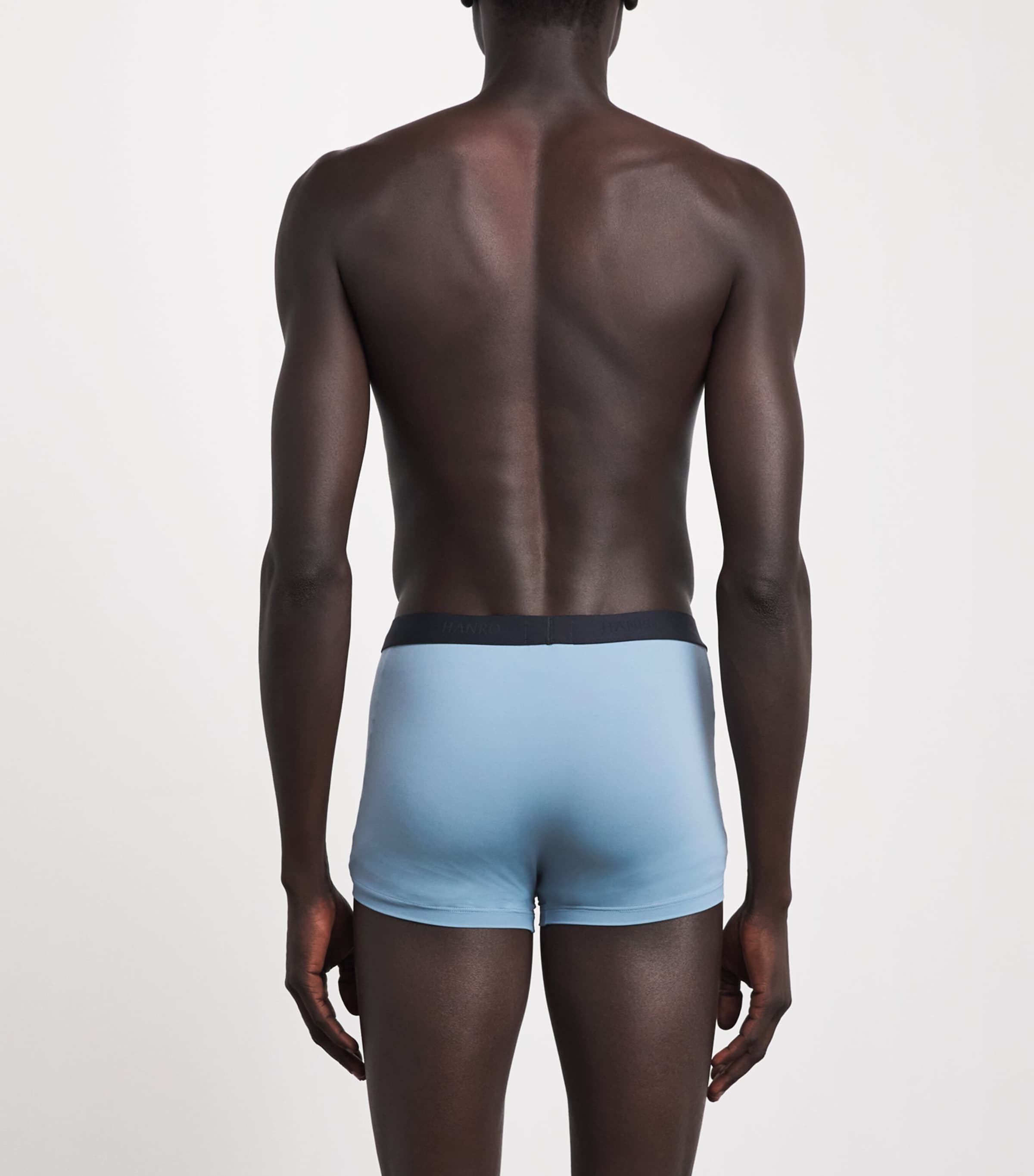Hanro Mens Micro-Touch Boxer Briefs Blue Whale Image 3