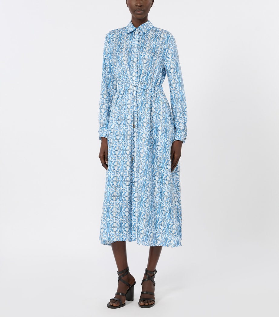 Max Mara Womens Silk Midi Shirt Dress Ocean Image 2