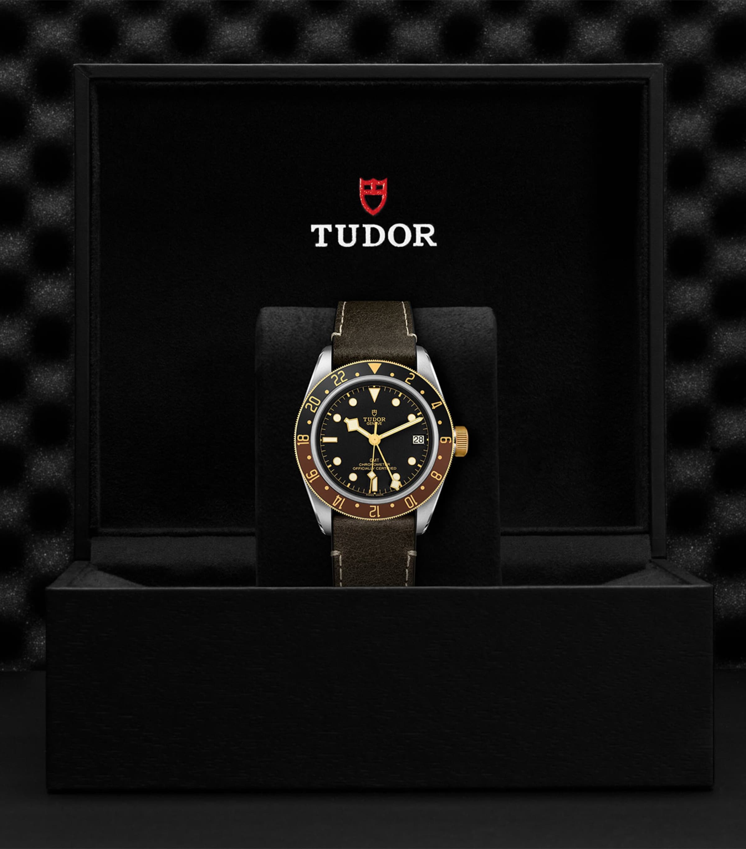TUDOR Black Bay GMT Stainless Steel and Yellow Gold Watch 41mm Black Image 5