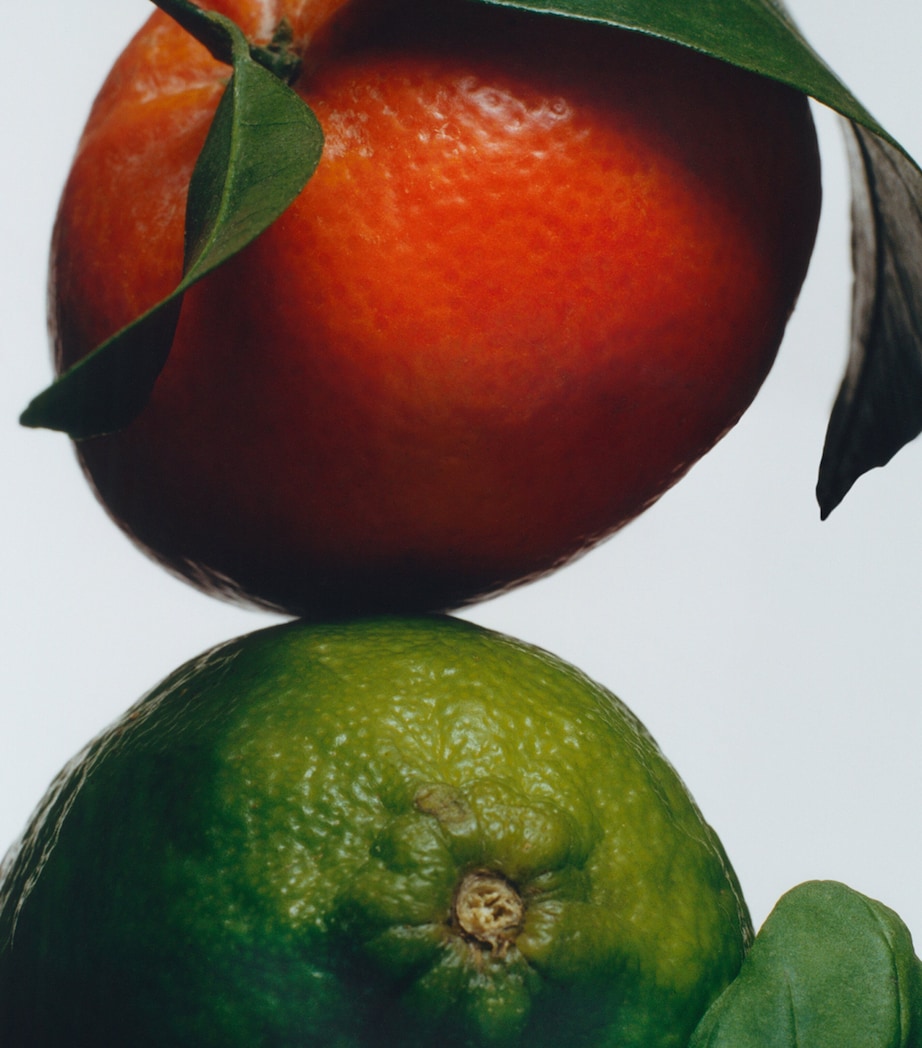 Lime Basil & Mandarin Scent Surround Diffuser NO COLOUR Image 3