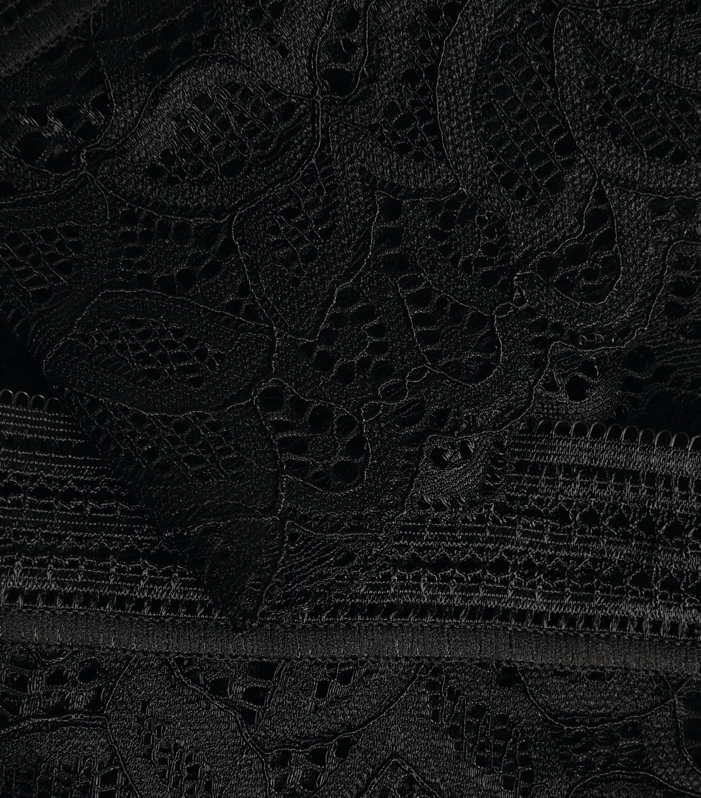 Raffine Lace Tanga BLACK Image 4