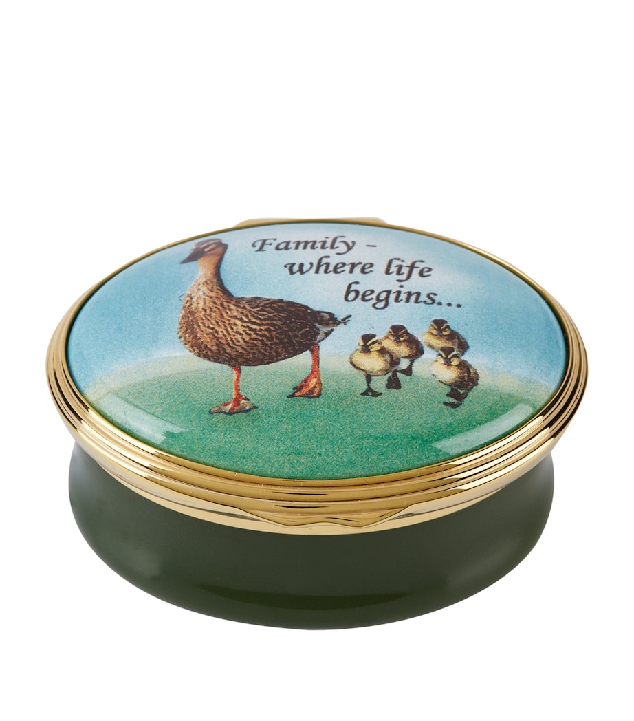 Where Life Begins Box GREEN Image 2