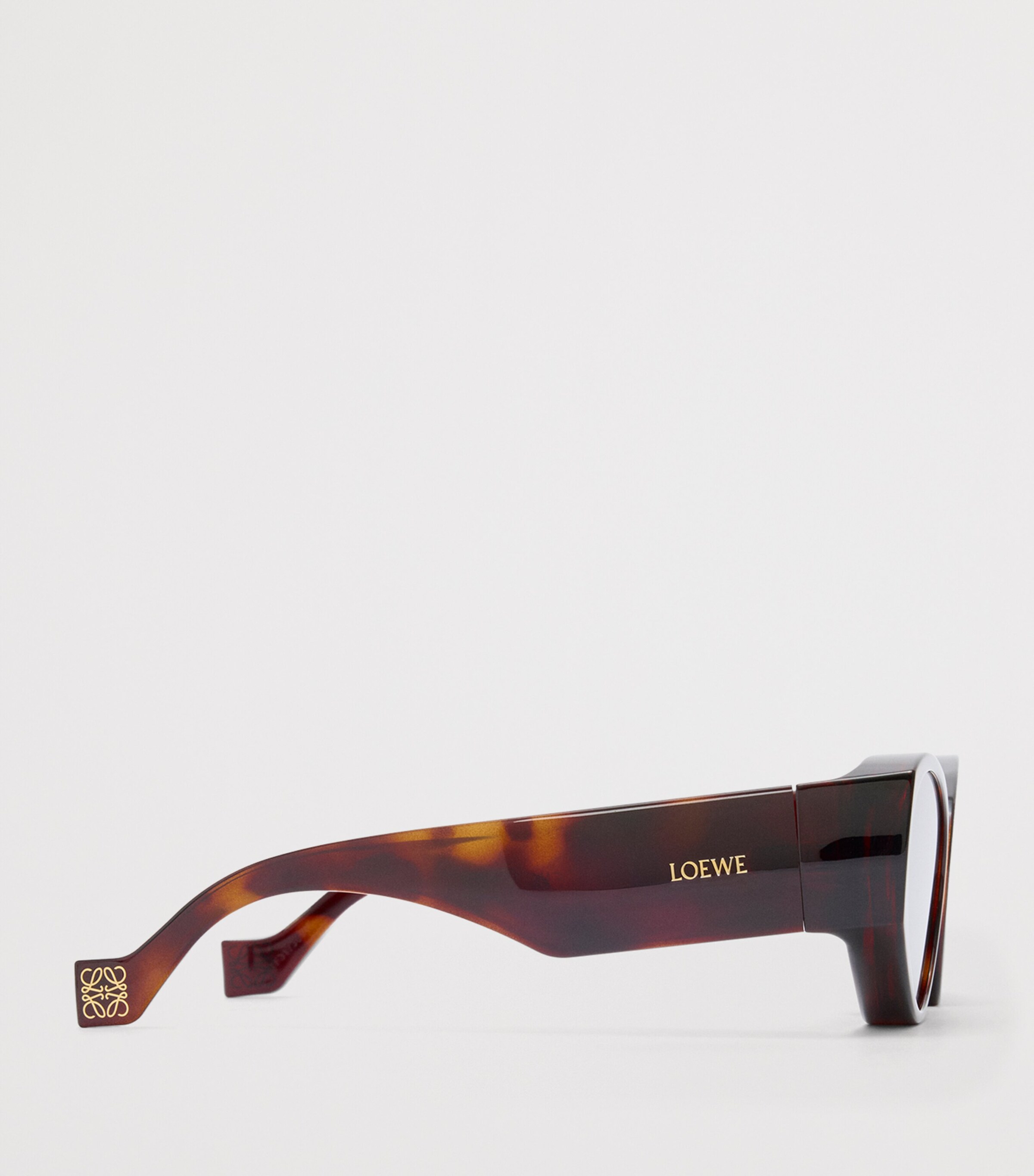 LOEWE x Paula's Ibiza Front Lenses Cat Eye Sunglasses Havana Image 3