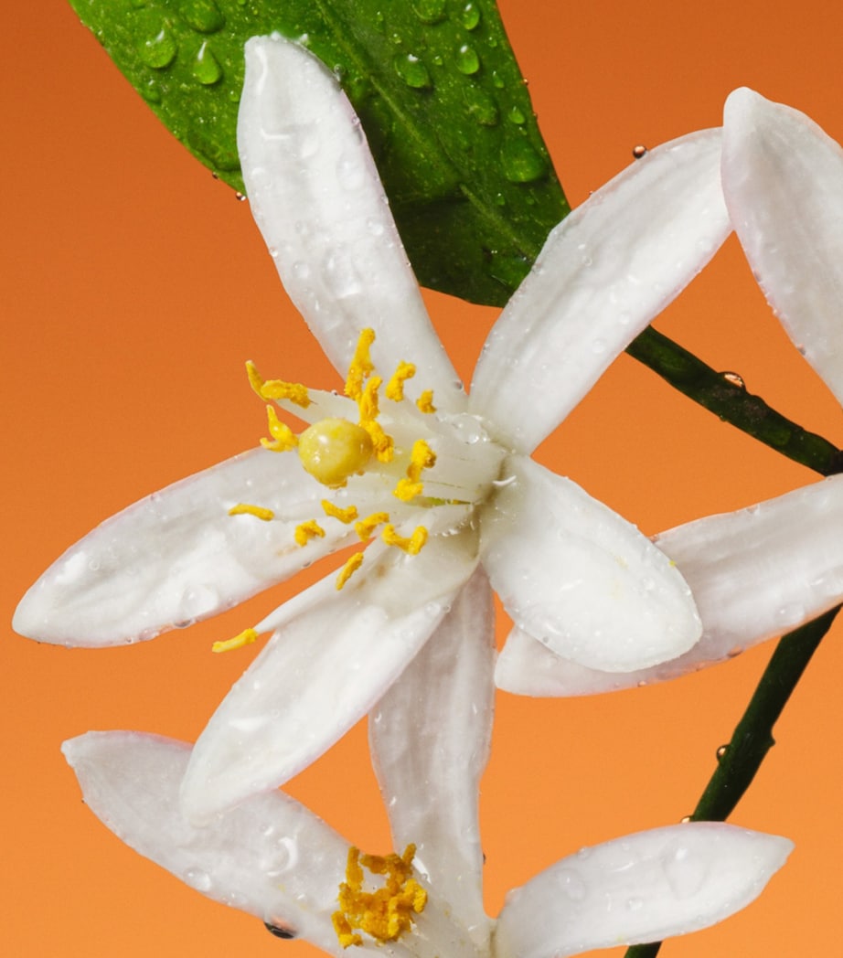 The Alchemist’s Garden Fiori di Neroli Eau de Parfum (100ml) NO COLOUR Image 4