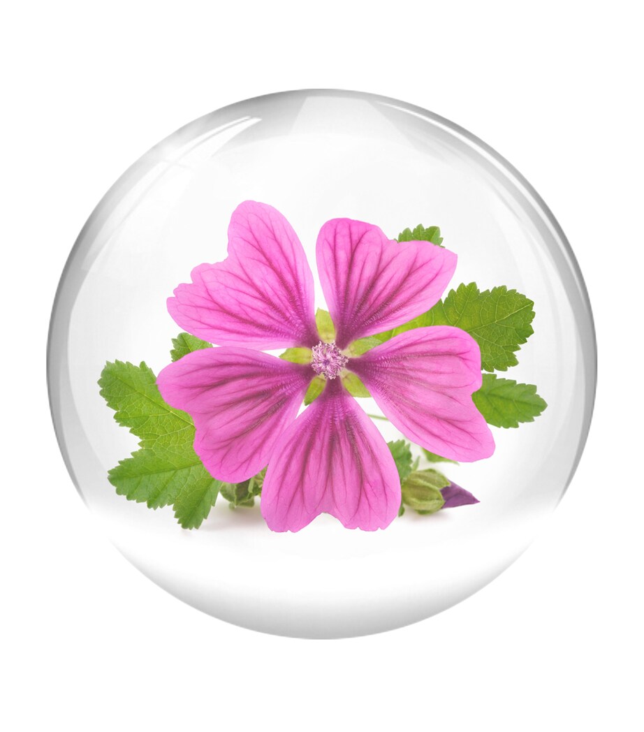 Vital B Serum (30ml) NO COLOUR Image 6