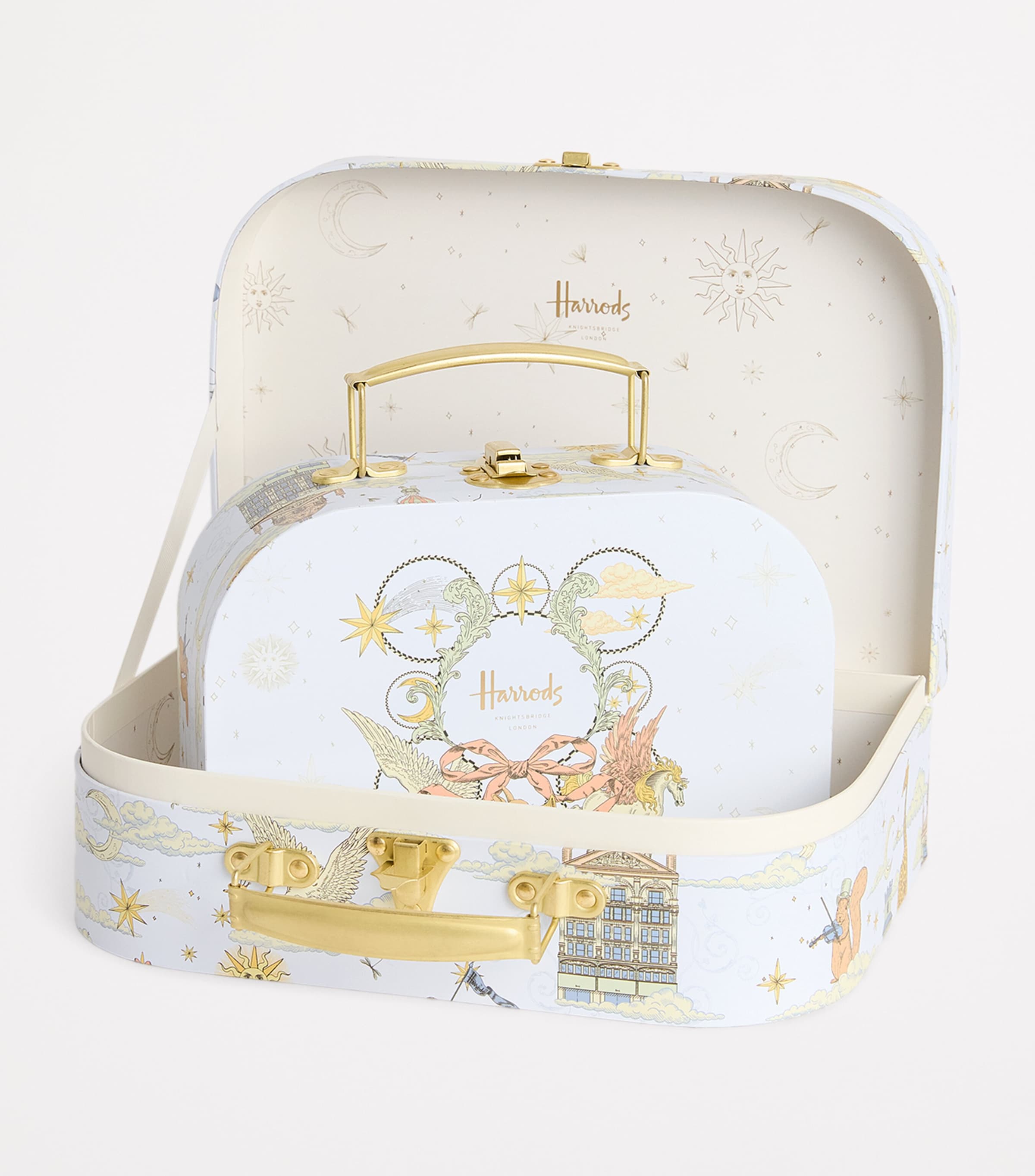 Set of 2 Carry Cases BLUE Image 3