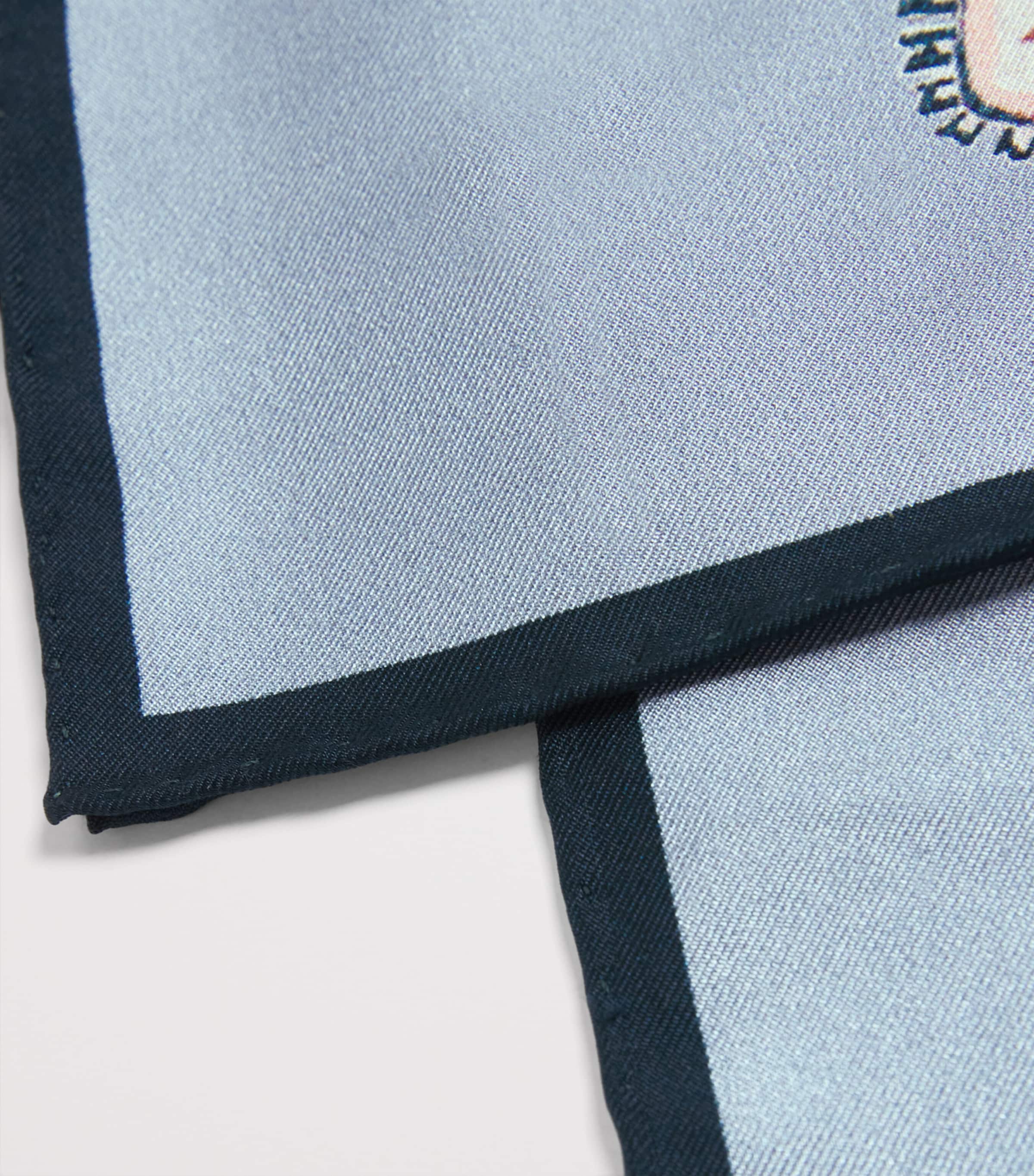 Silk Paisley Scarf MULTI Image 6