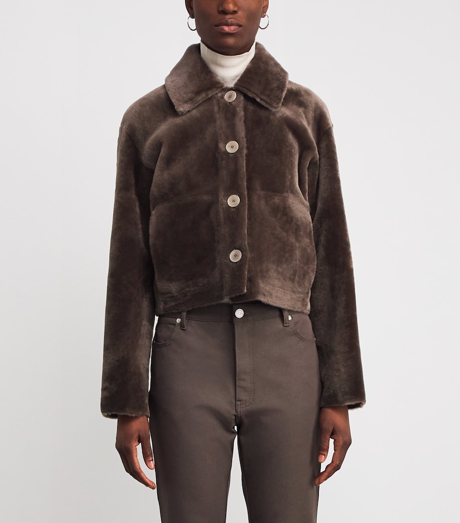Shearling Reversible Alloway Jacket MUSHROOM Image 3