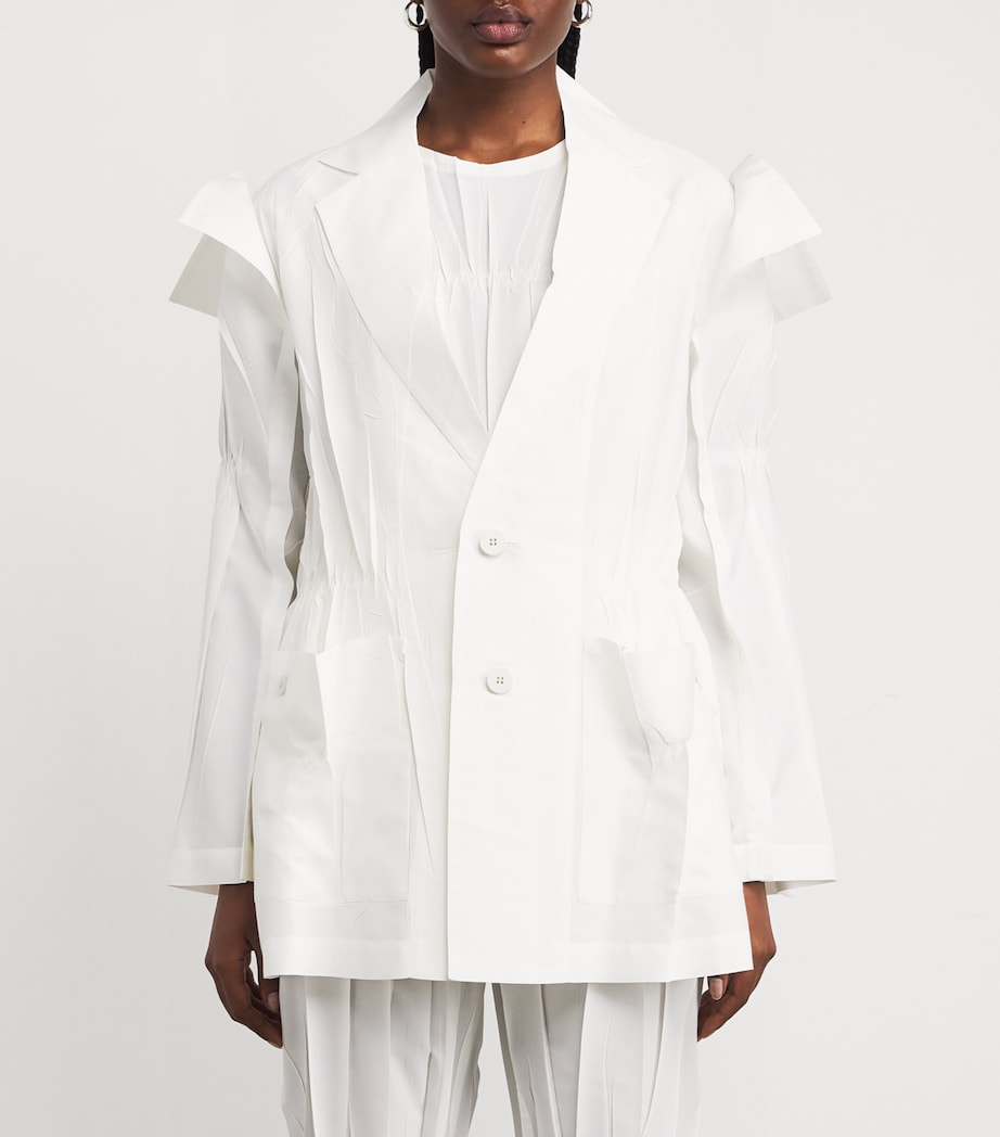 Crimped and Pressed Blazer 05 Image 3