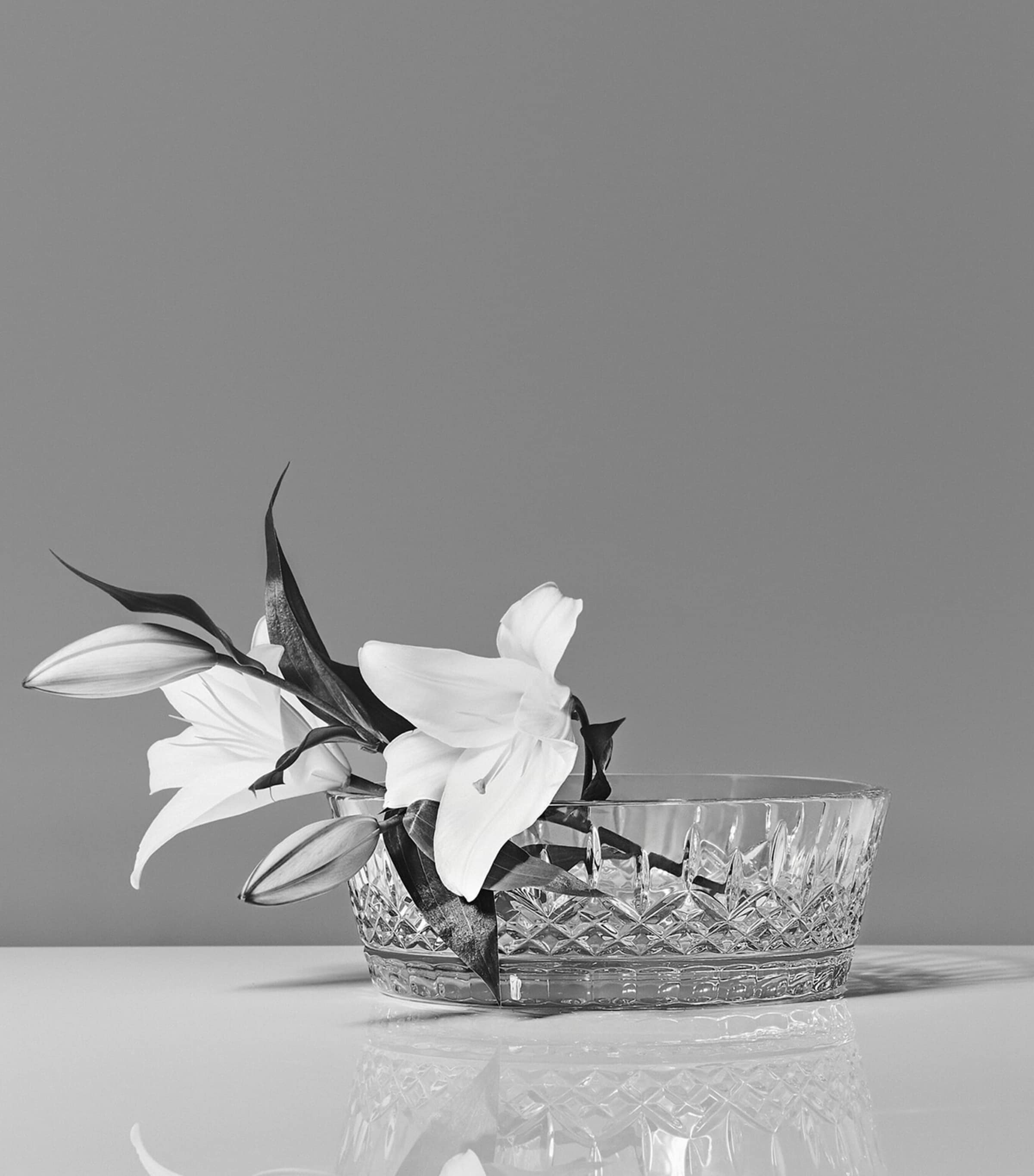 Lismore Essence Low Bowl (25cm) CLEAR Image 2