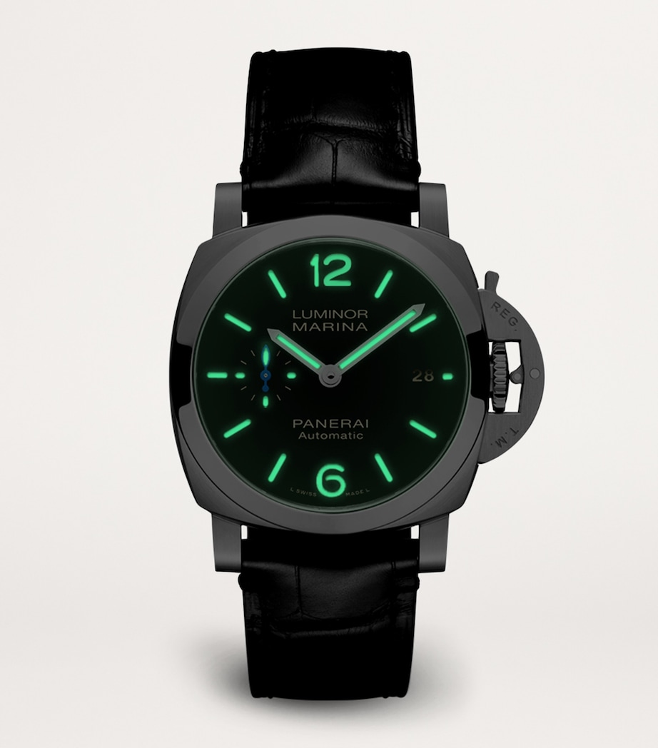 Stainless Steel Luminor Marina Watch 40mm BLACK Image 2