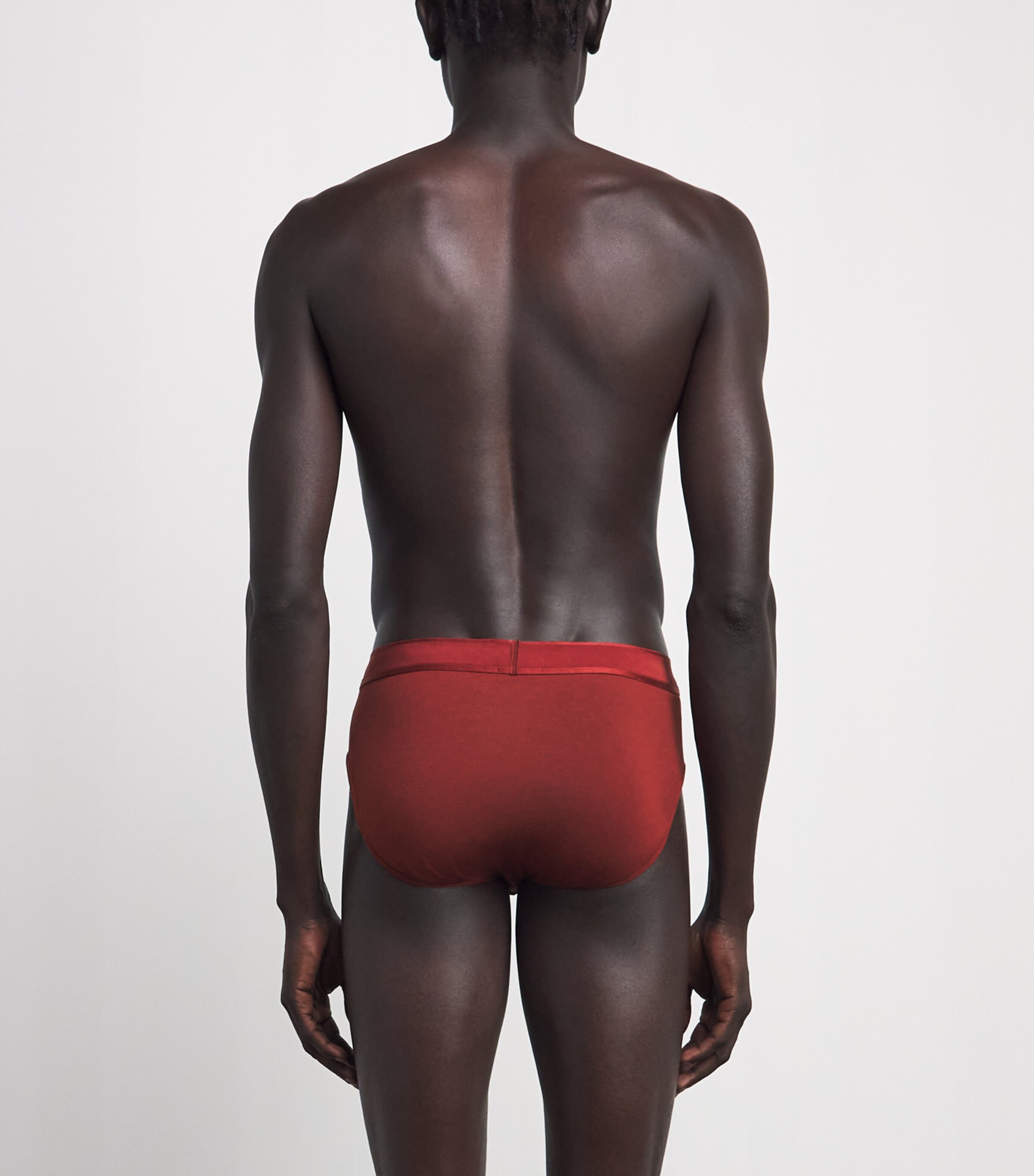 Emporio Armani Mens Modal Logo Briefs Brick Image 3