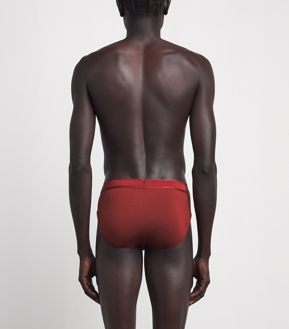 Emporio Armani Mens Modal Logo Briefs Brick Image 3