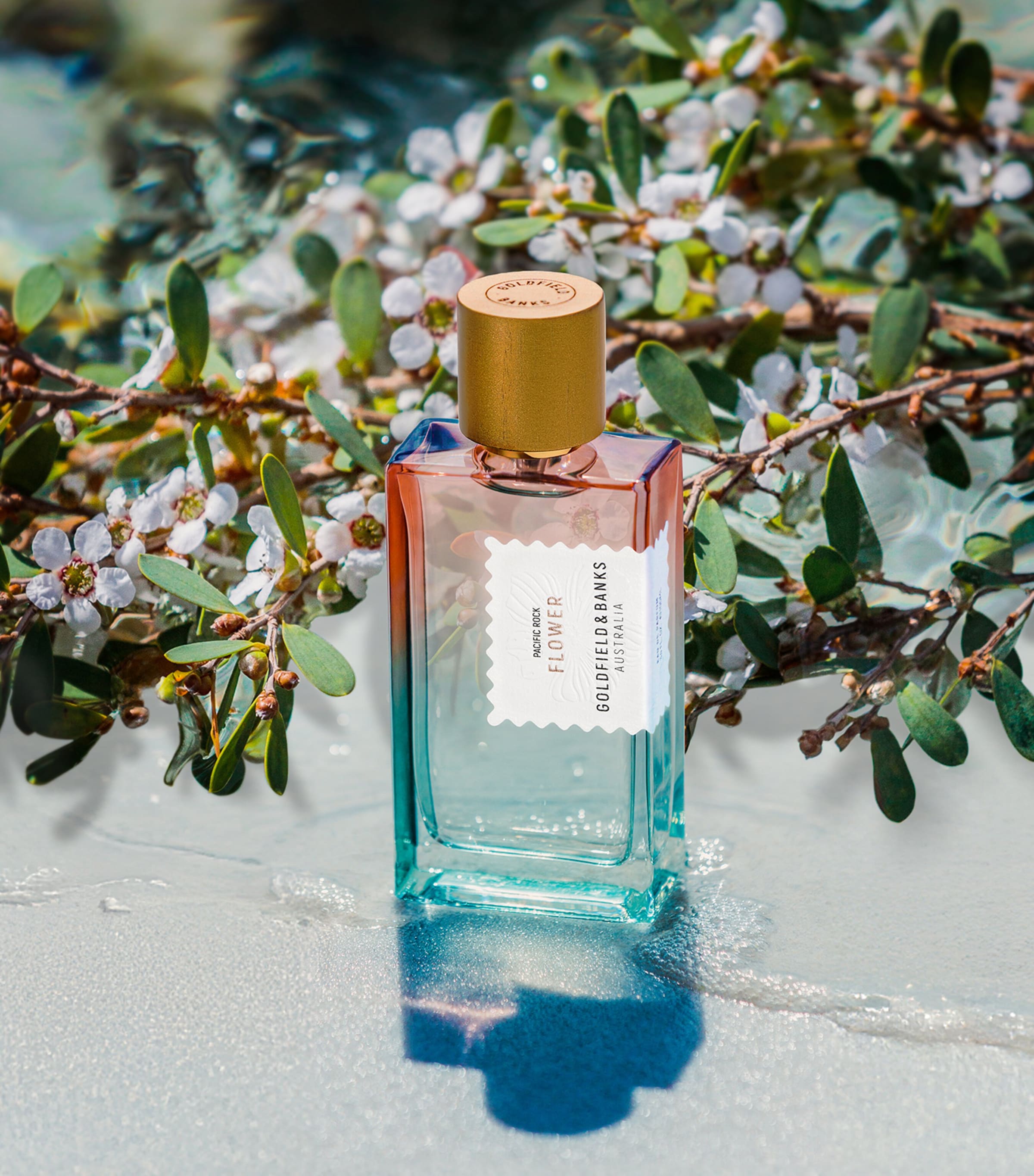 Seasonal Scents Stella Mccartney Perfume Myer Roja Parfums Luxury