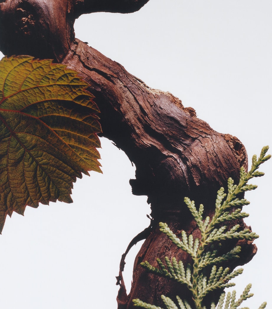 Jo Malone London Cypress and Grapevine Car Diffuser - Refill Image 3