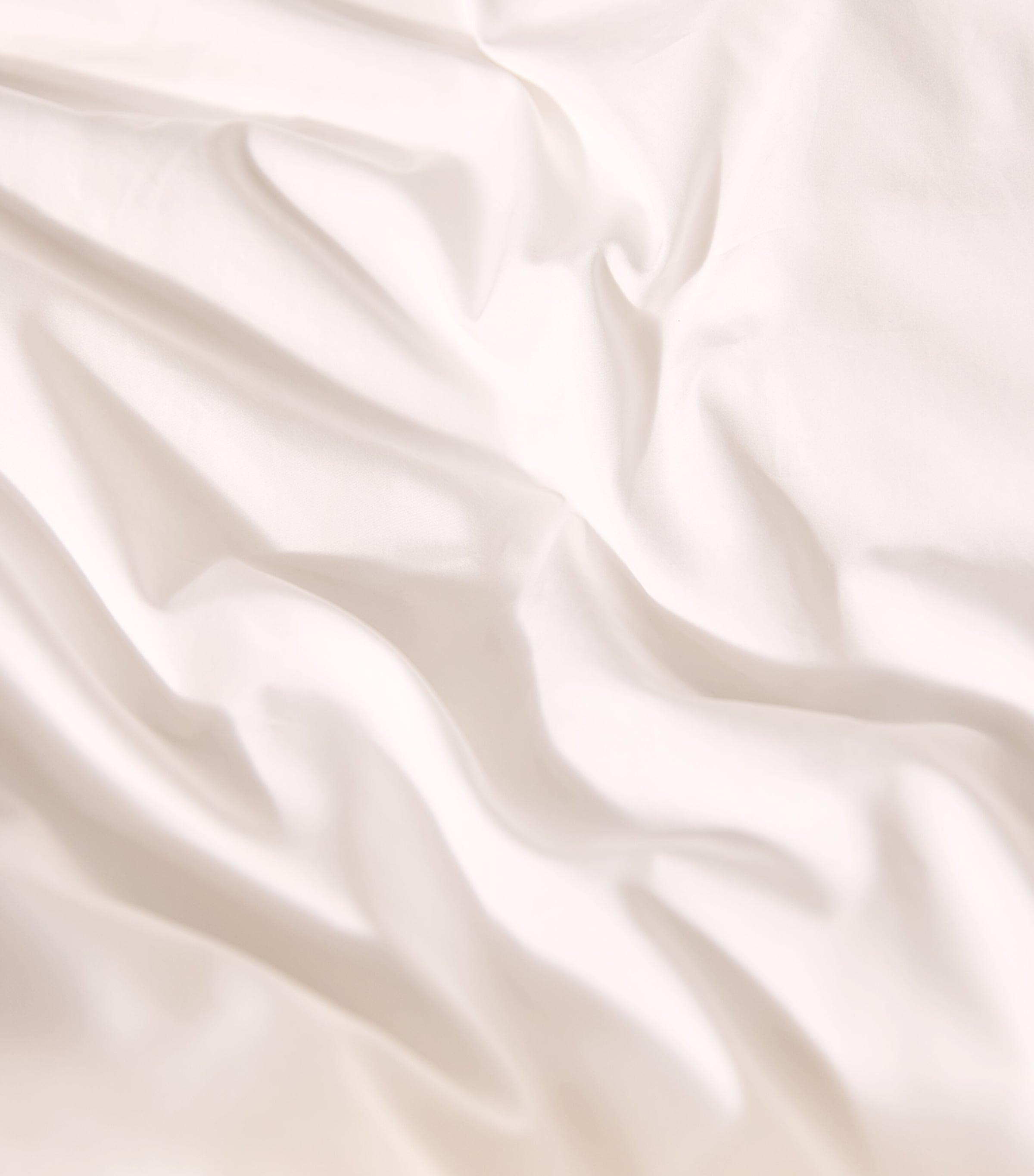 Hella Square Pillowcase (65cm x 65cm) 870 REIMS Image 5