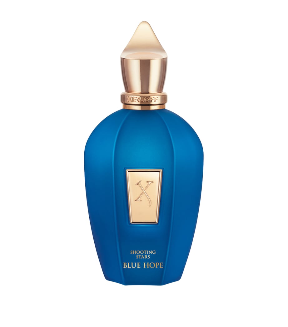 Blue Hope Eau de Parfum (100ml) NO COLOUR Image 1
