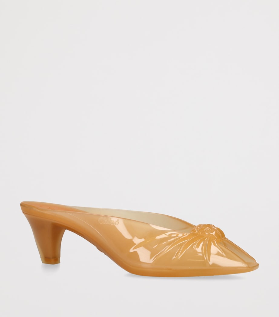 Chloé Jelly Heeled Mules 30 Brown Image 3