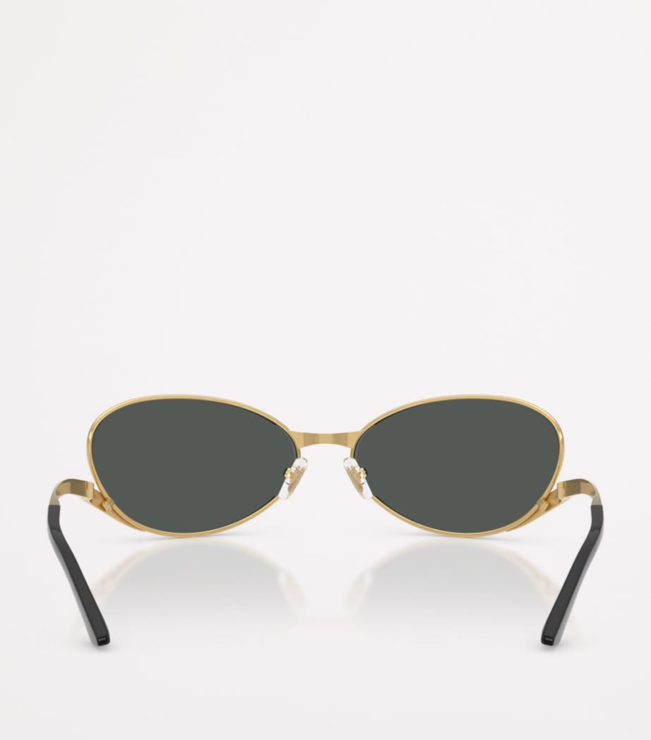 Oval Sunglasses 100287 Image 4