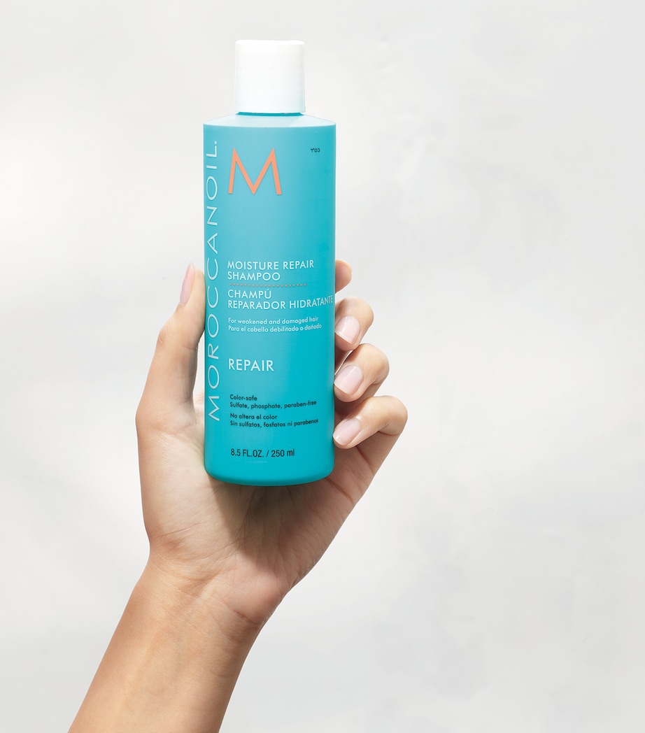 Moisture Repair Shampoo (250ml) NO COLOUR Image 2