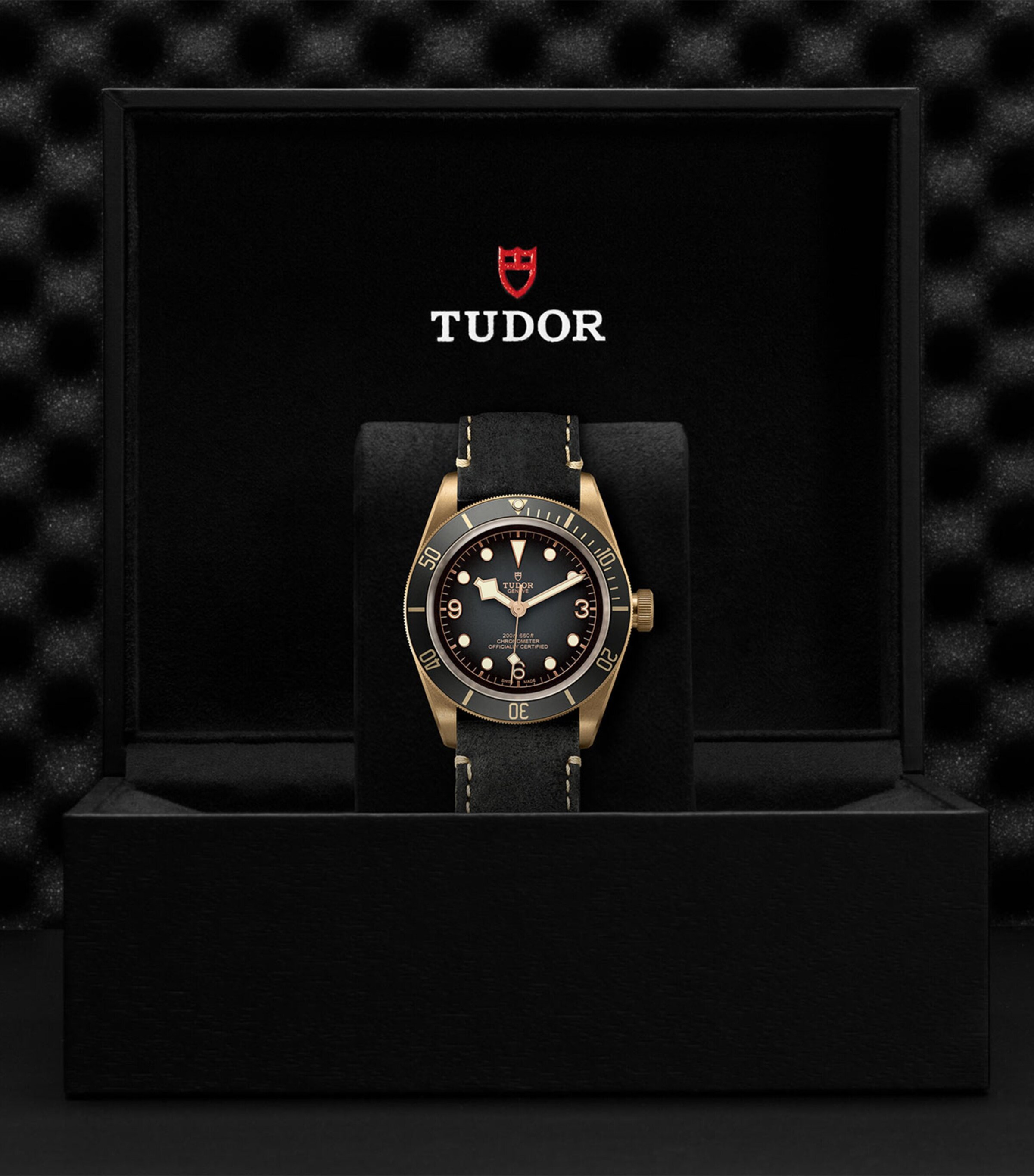 Black Bay Bronze Watch 43mm GREY Image 5