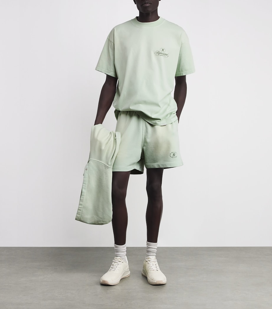 Grand Vintage Shorts WASHED SAGE Image 2