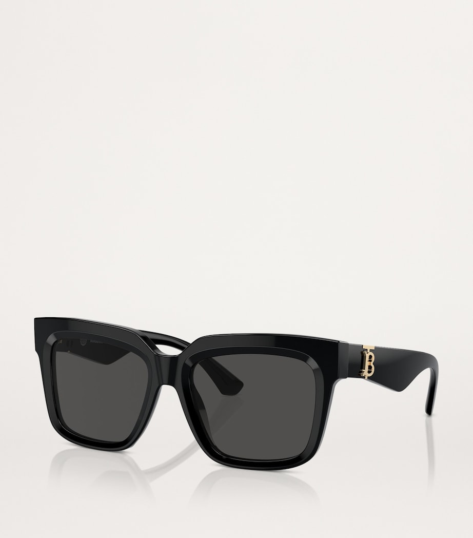 Acetate BE4419 Sunglasses 300187 Image 2