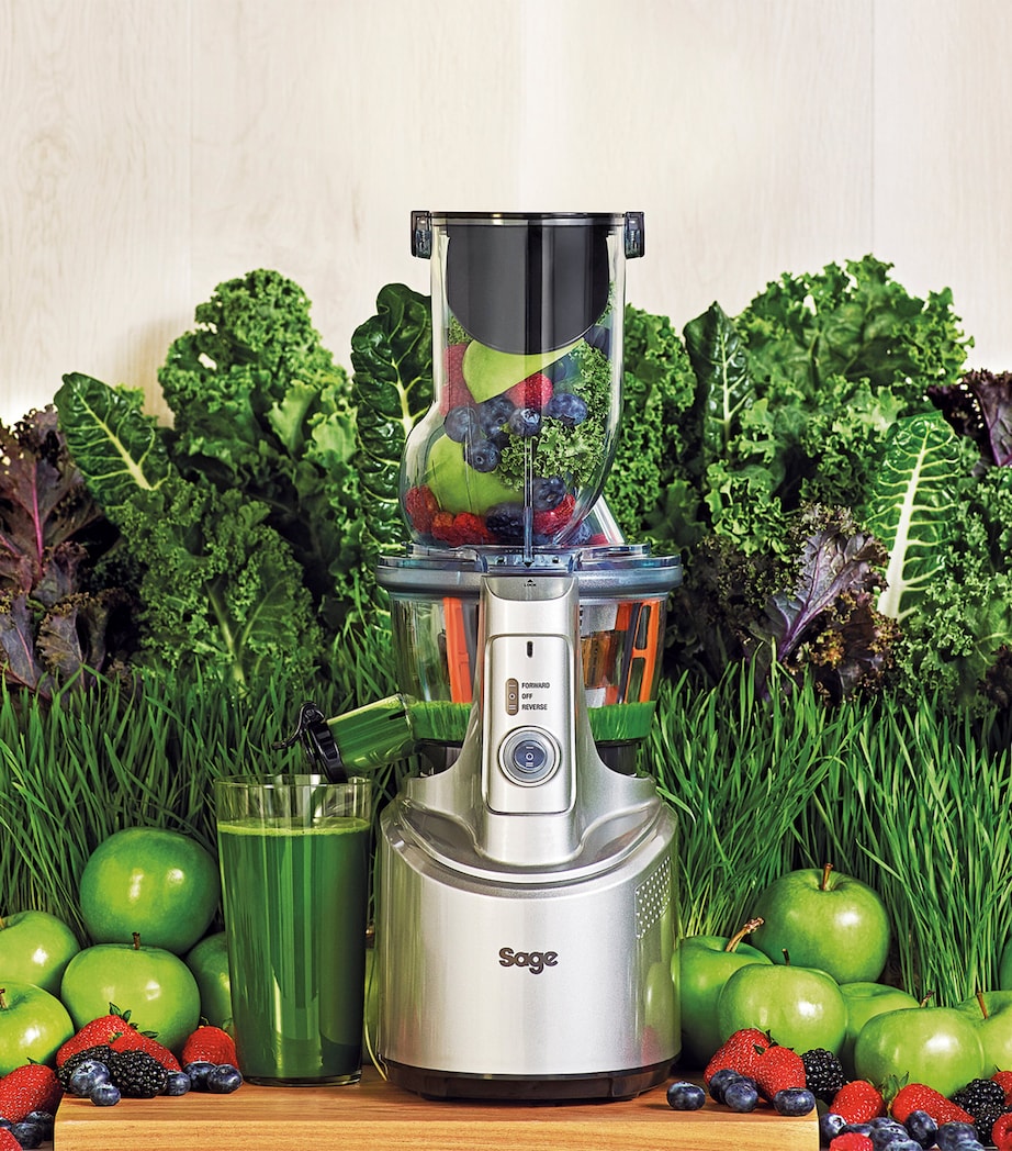 The Big Squeeze Juicer METALLIC Image 4