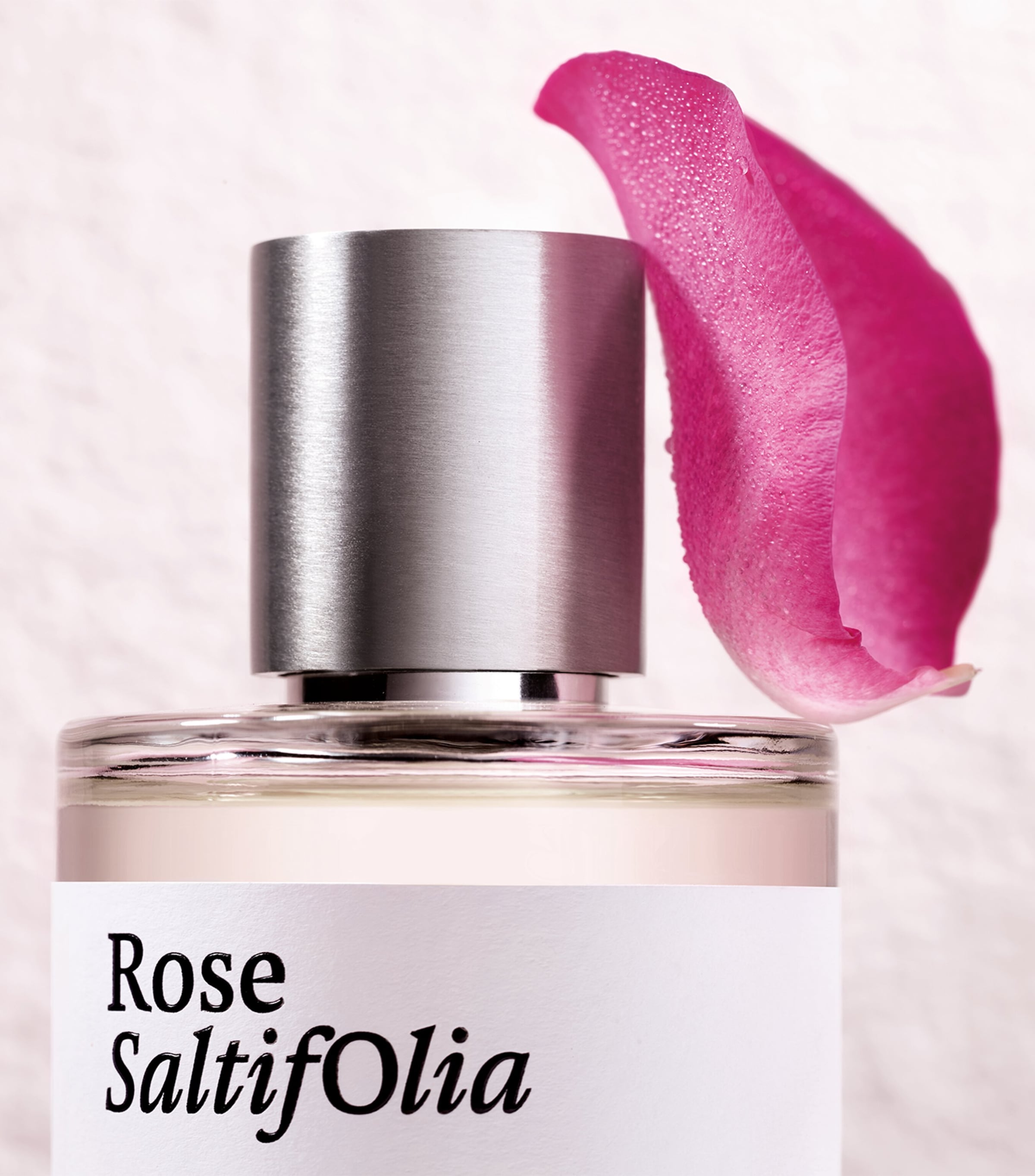 Rose Saltifolia Eau de Parfum (100ml) NO COLOUR Image 4