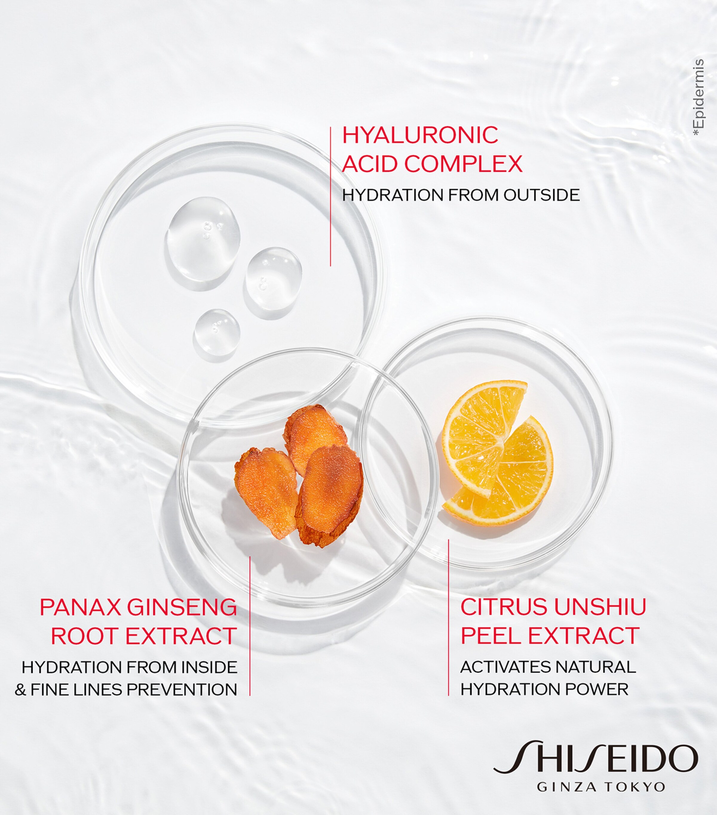 Essential Energy Hydrating Day Cream SPF 20 Refill (50ml) NO COLOUR Image 5