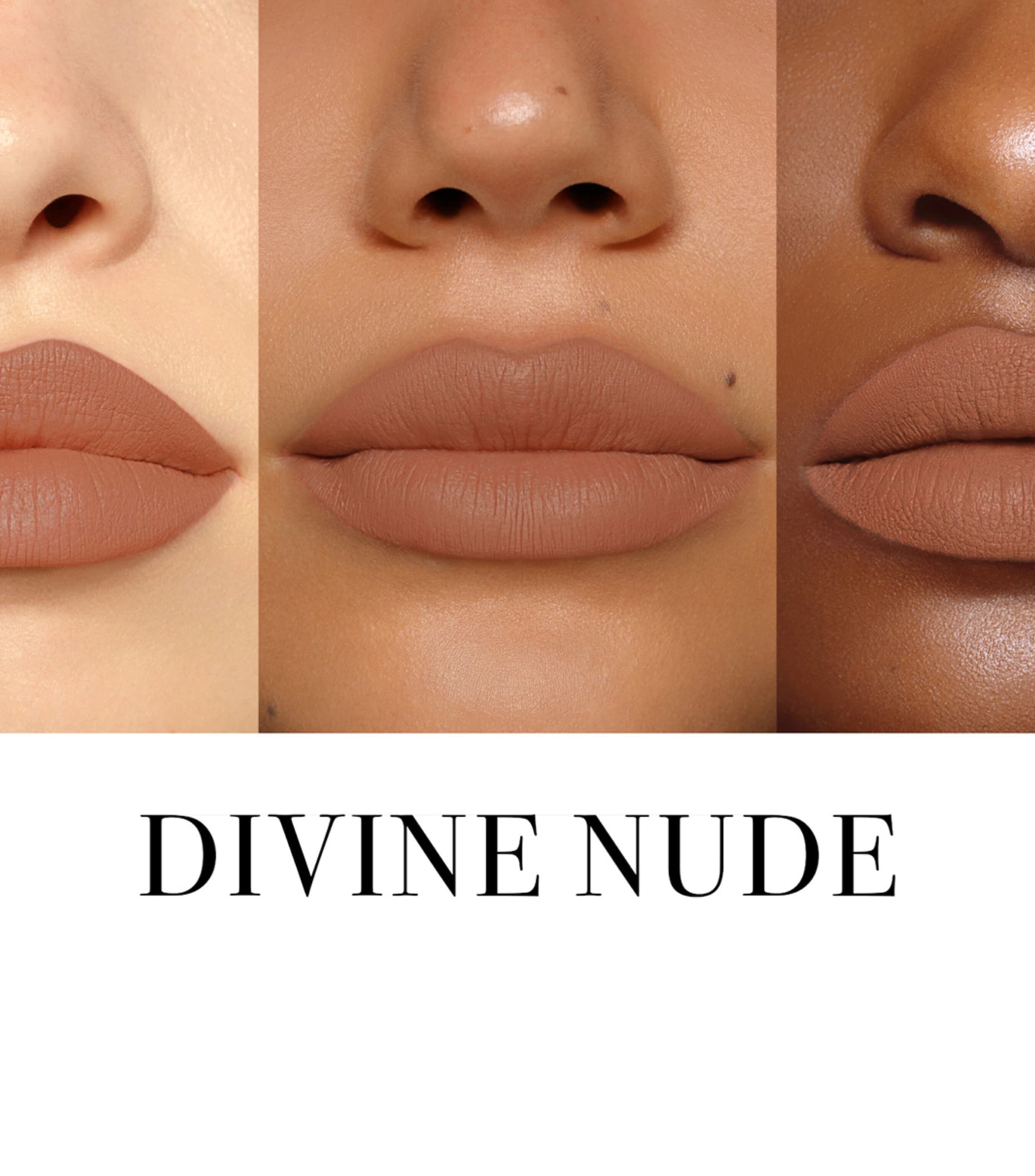 Legendary Longwear Lip Liner DIVINE NUDE  Image 2