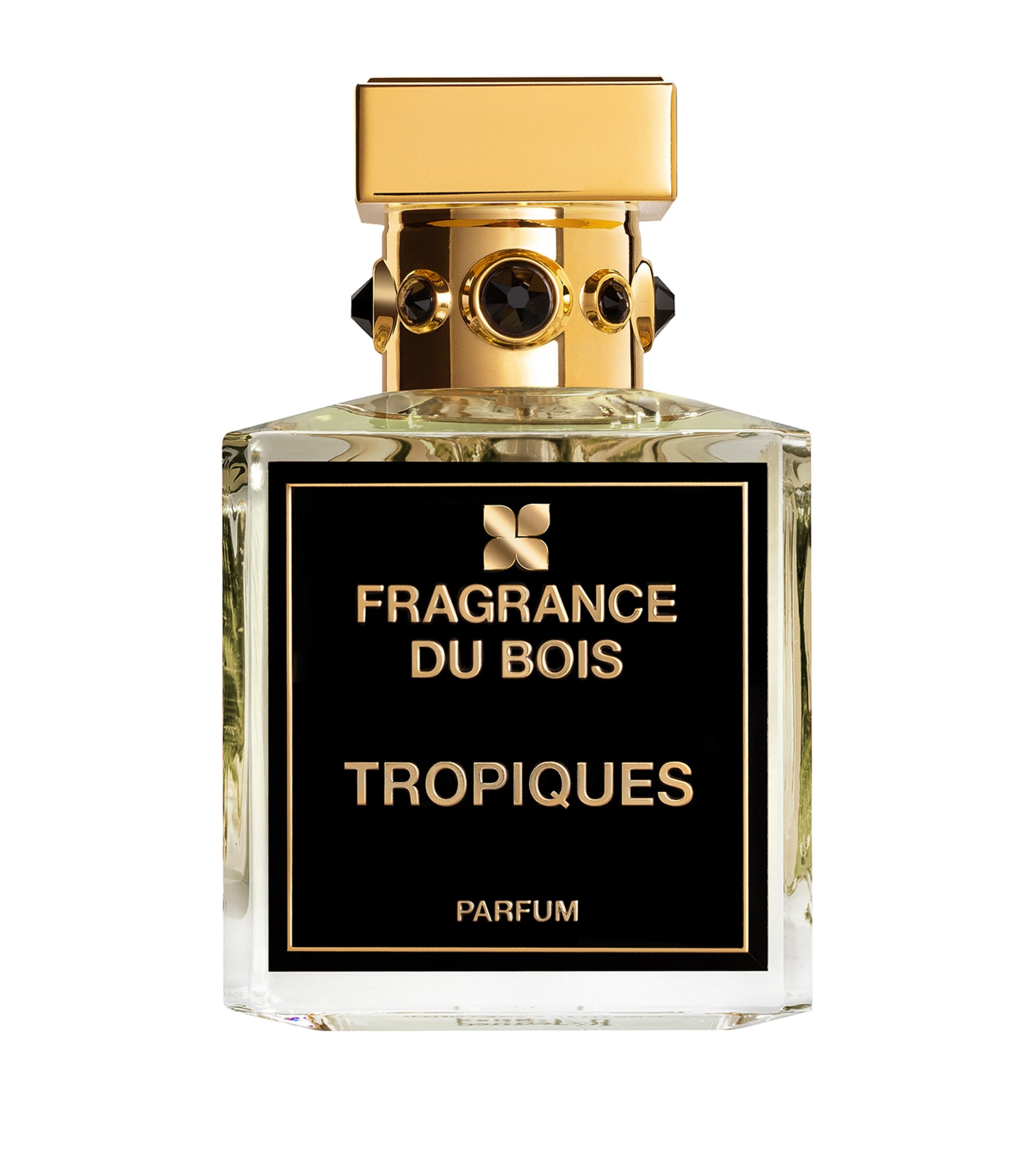 Tropiques Parfum (100ml) NO COLOUR Image 1