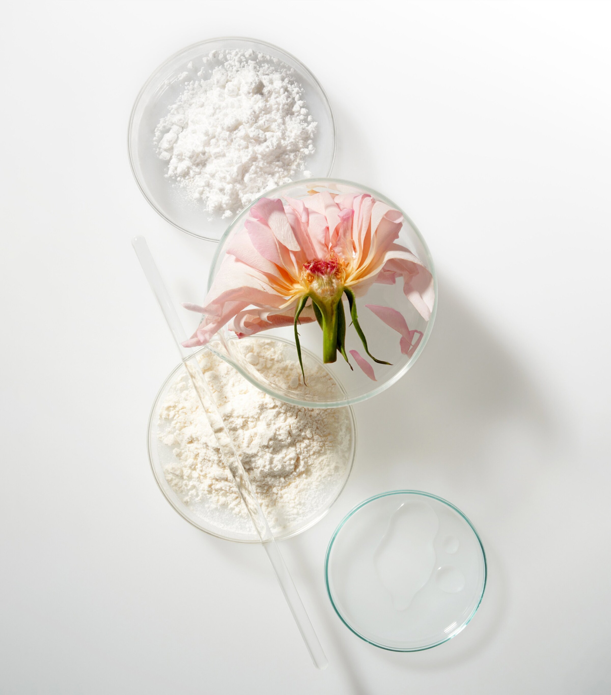 The Elemental Cleansing Balm and Exfoliating Refiner Refill NO COLOUR Image 7