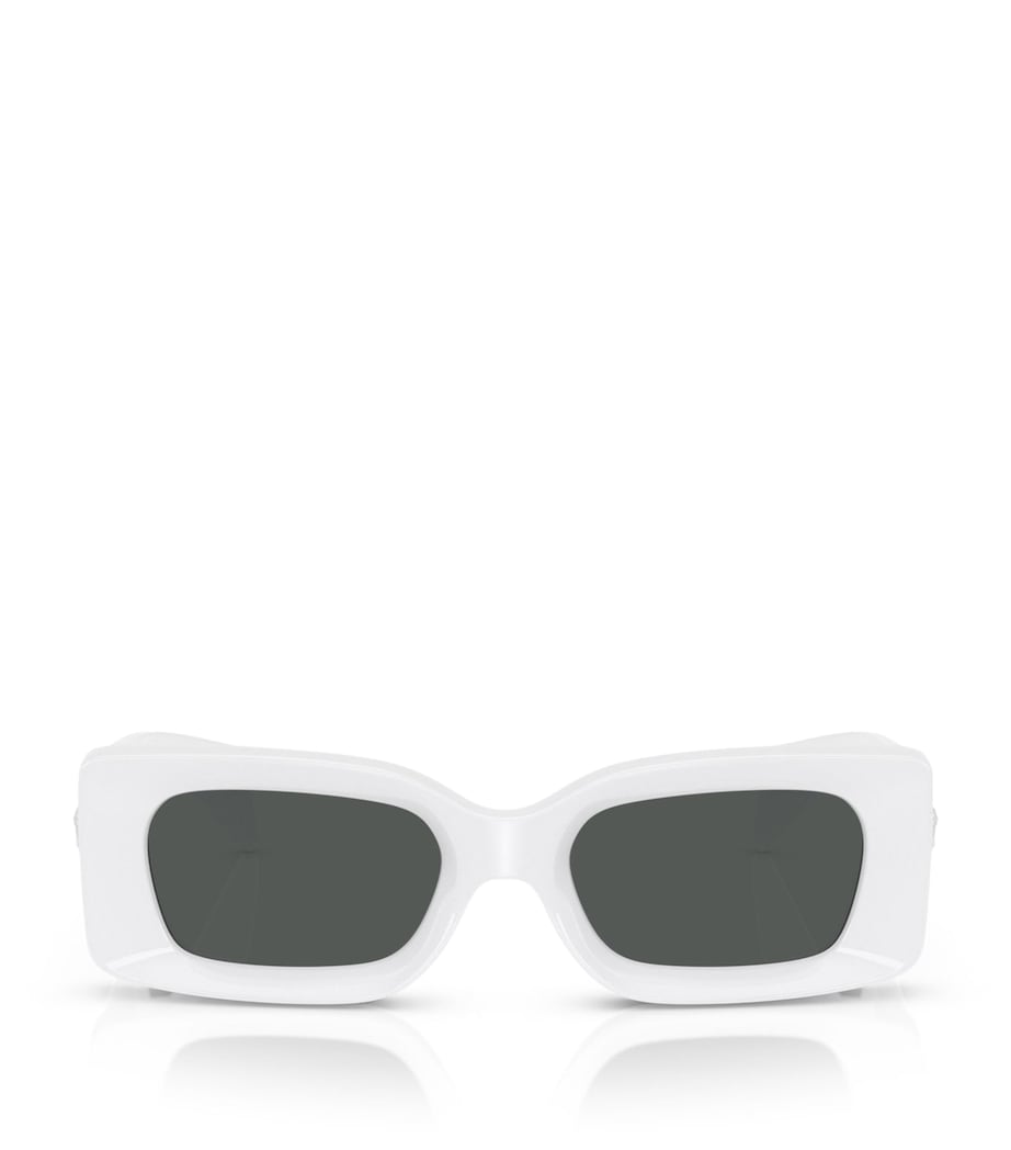 Injected VE4474U Sunglasses 314/87 Image 1