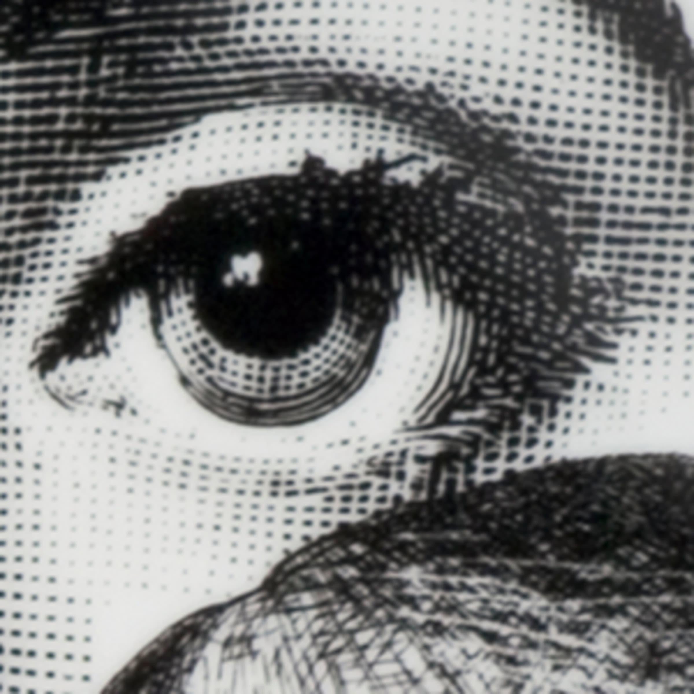 Fornasetti 테마 에 바리아지오니 No. 218 월 플레이트 26cm