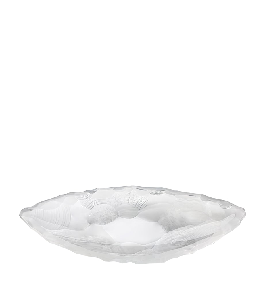 Medium Crystal Silex Bowl (46cm) INCOLORE Image 1