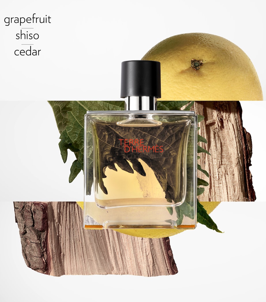 Terre d'Hermès Parfum (125ml) - Refill NO COLOUR Image 2