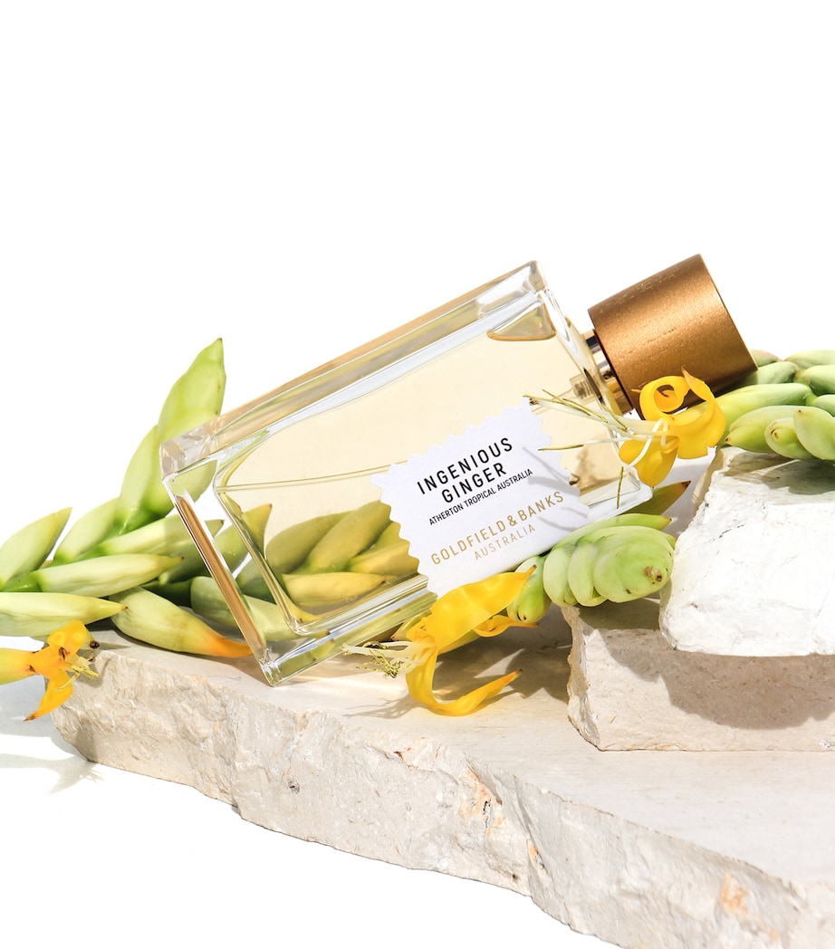 Ingenious Ginger Pure Perfume (100ml) NO COLOUR Image 4