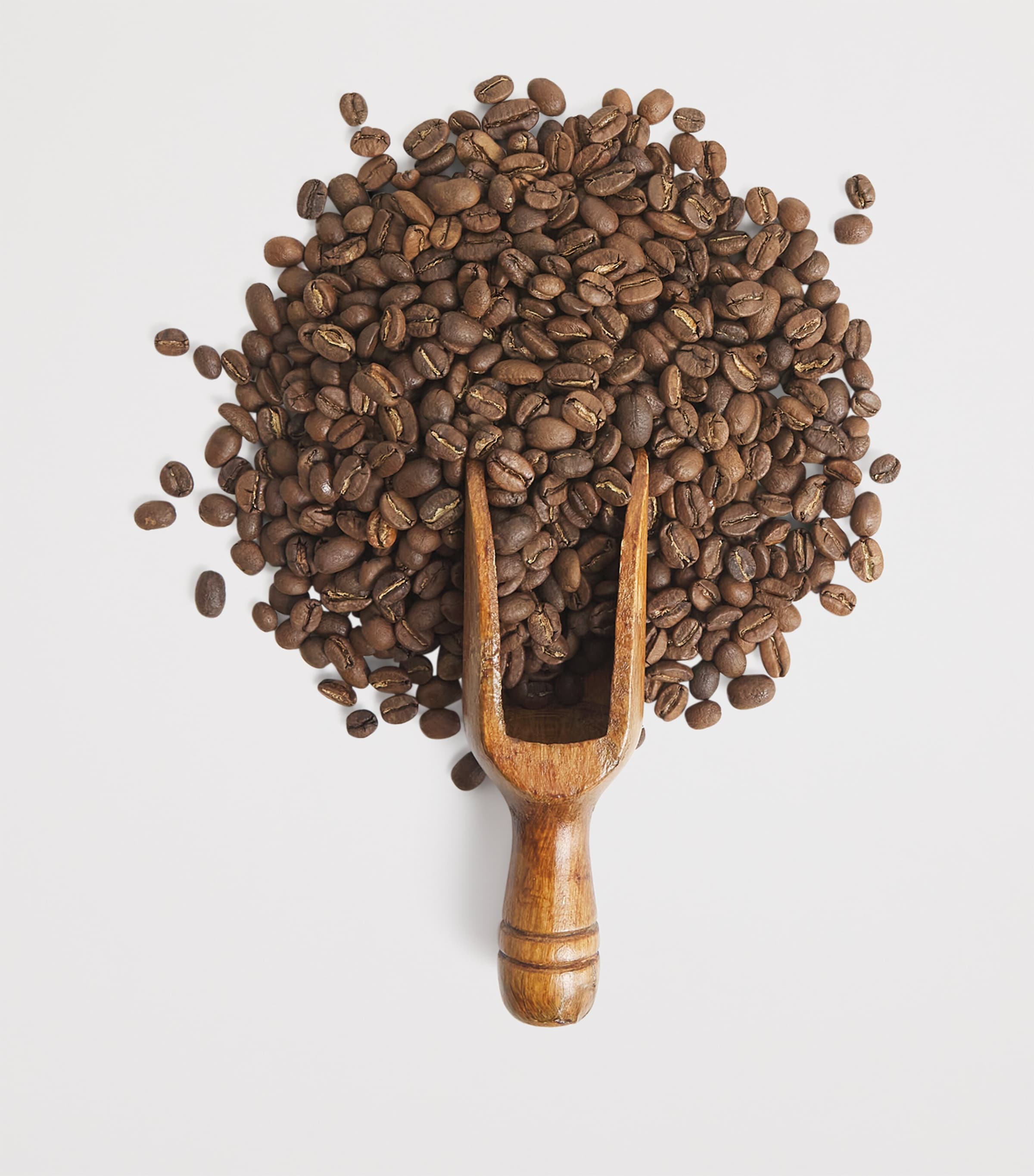 Alriyaee XI Microlot Coffee Beans (250g) NO COLOUR Image 2