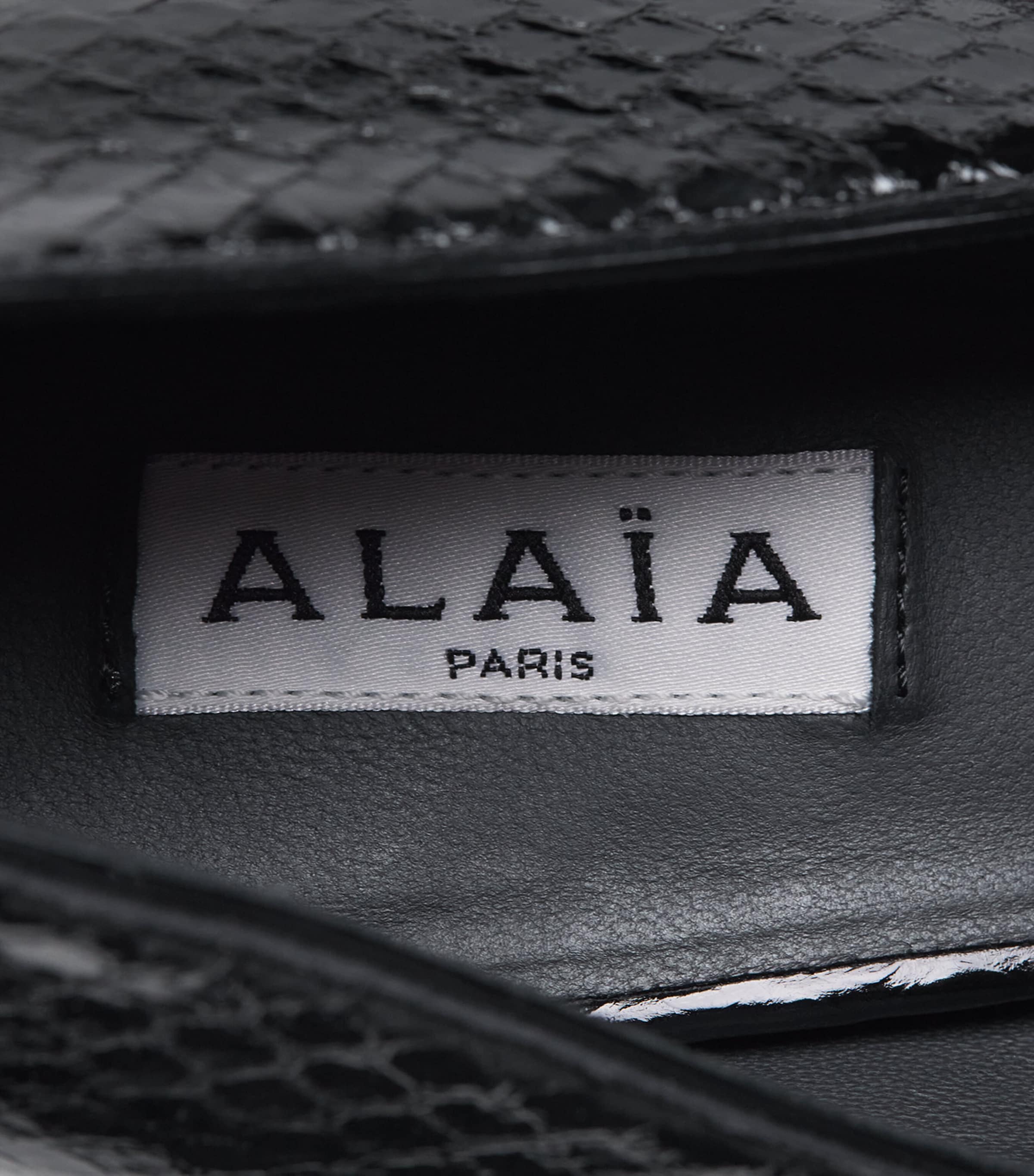 Alaïa Snakeskin Cone Pumps 90 Noir Image 6