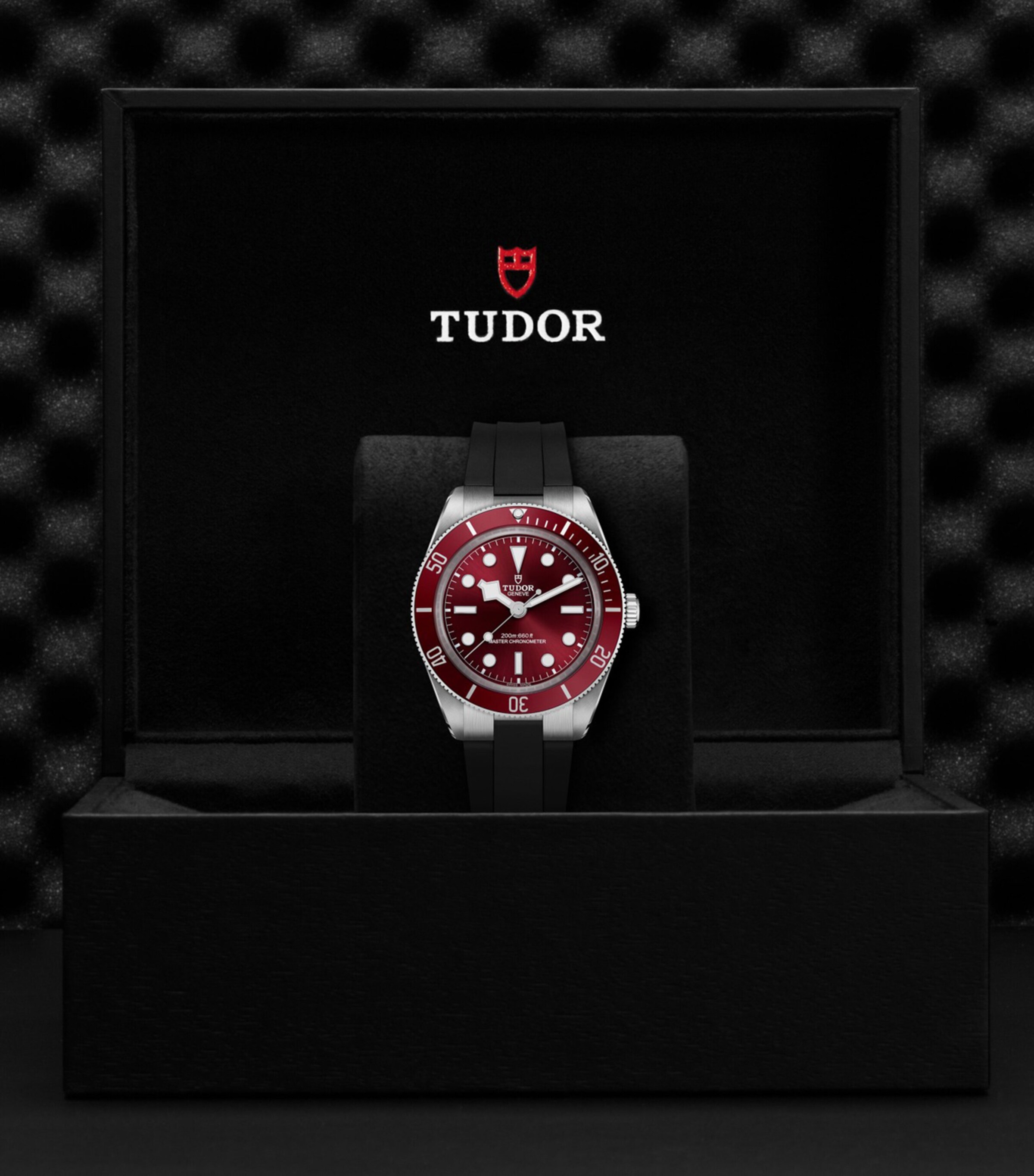 Black Bay 58 Stainless Steel Watch 39mm RED Image 4