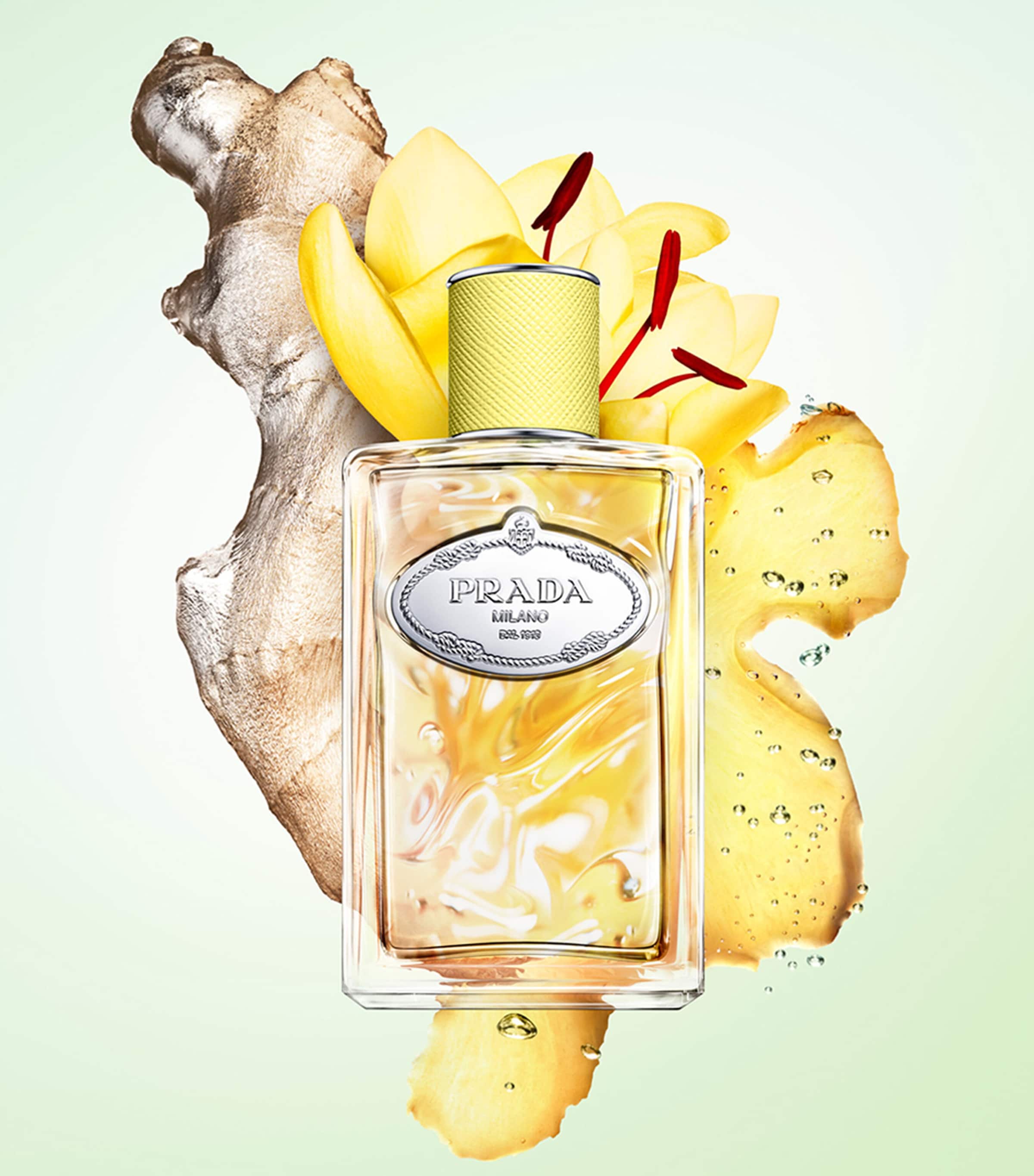 Prada Beauty Infusions de Gingembre Eau de Parfum (100ml) | Harrods UK